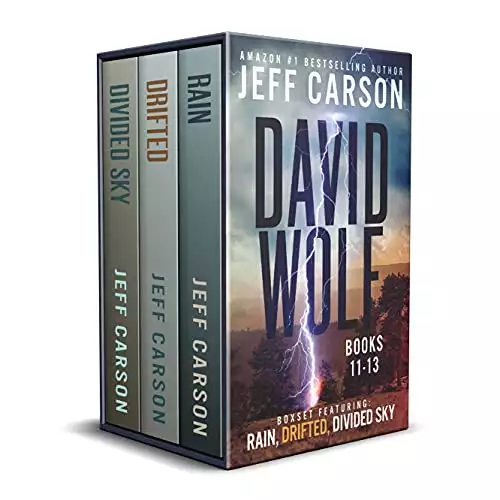 The David Wolf Mystery Thriller Series: Books 11-13