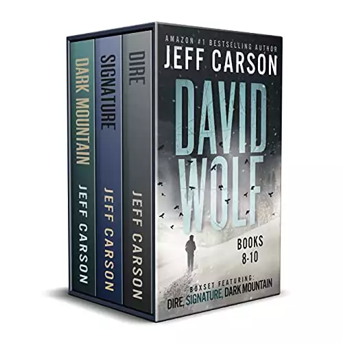 The David Wolf Mystery Thriller Series: Books 8-10