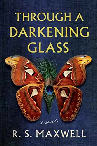 Through a Darkening Glass: A Novel