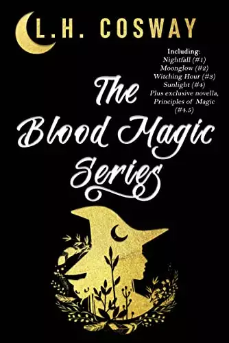 The Blood Magic Series: Books 1 - 4