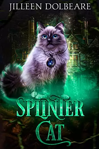 Splintercat: A Paranormal Women's Fiction Urban Fantasy Prequel Novelette