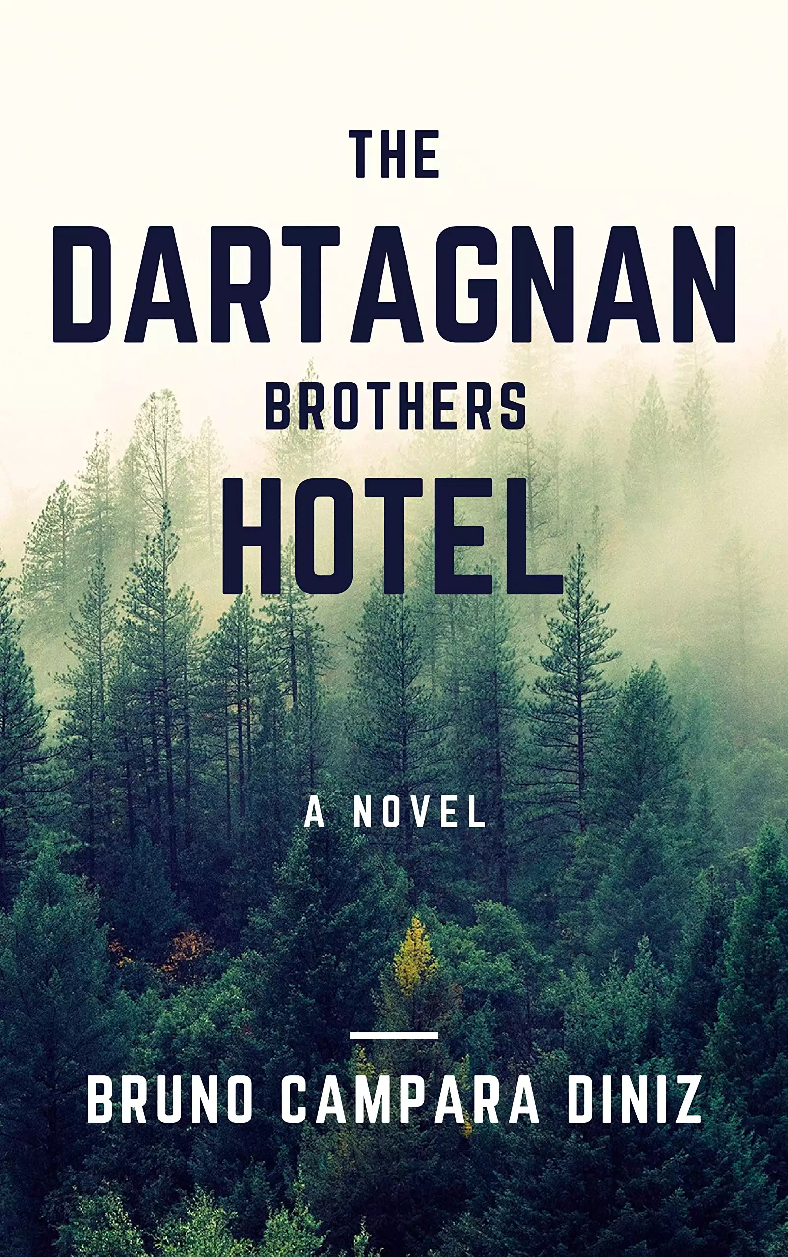 The Dartagnan Brothers Hotel