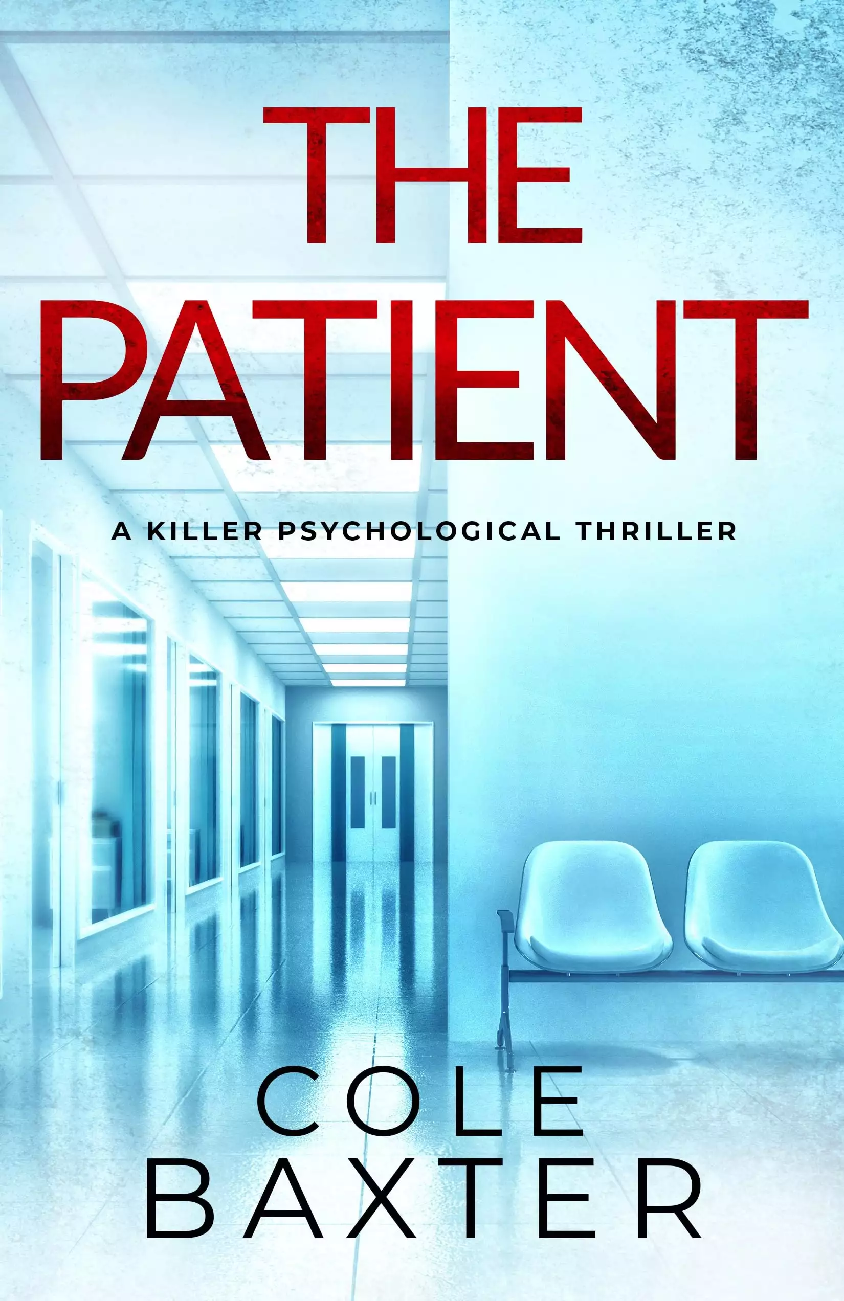 The Patient: a killer psychological thriller