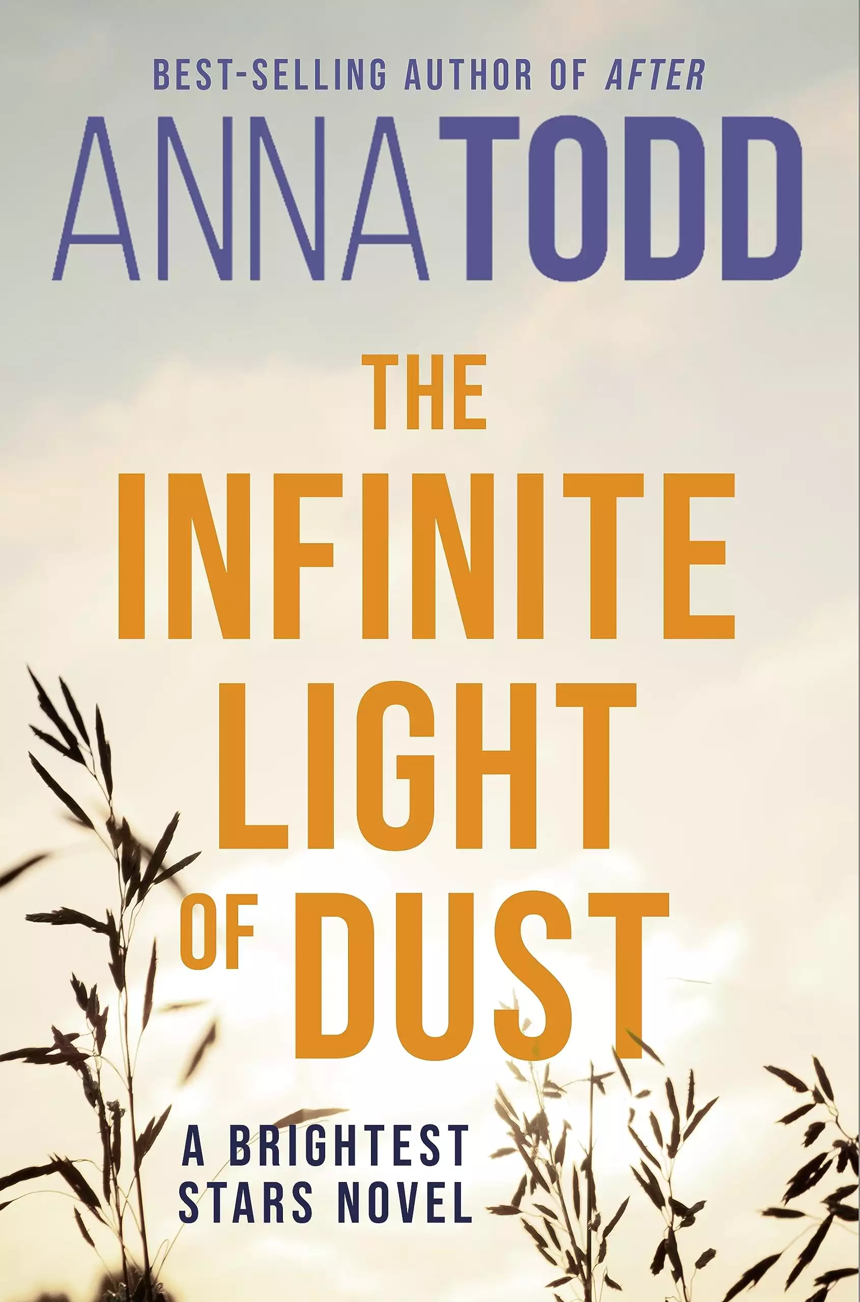 The Infinite Light of Dust