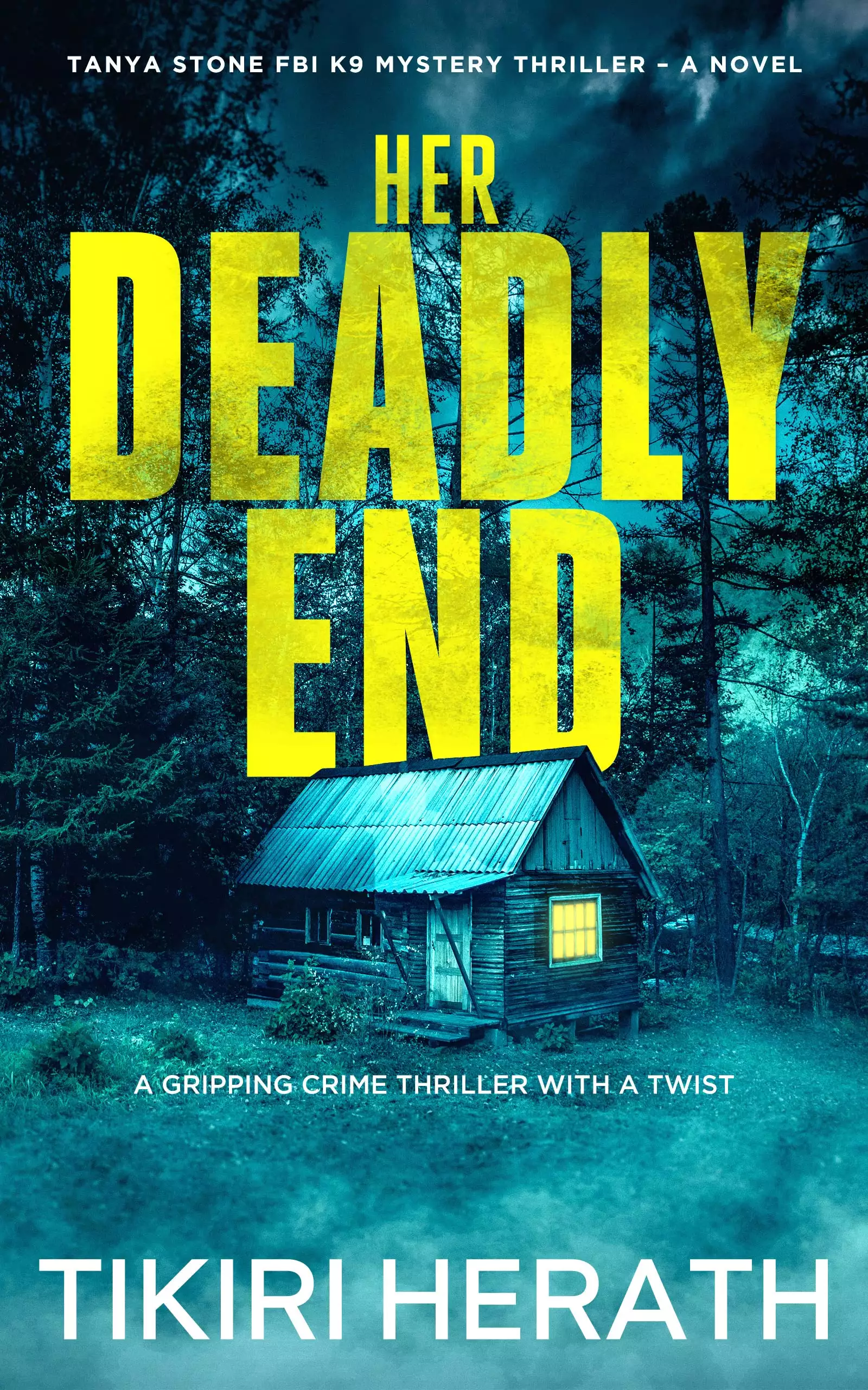 Her Deadly End: A gripping crime thriller with a twist