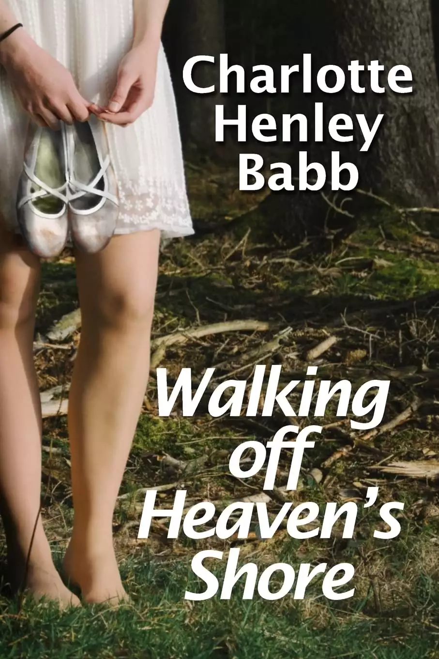 Walking Off Heaven's Shore: Ten-Piece Bucket of Southern Fried Fiction