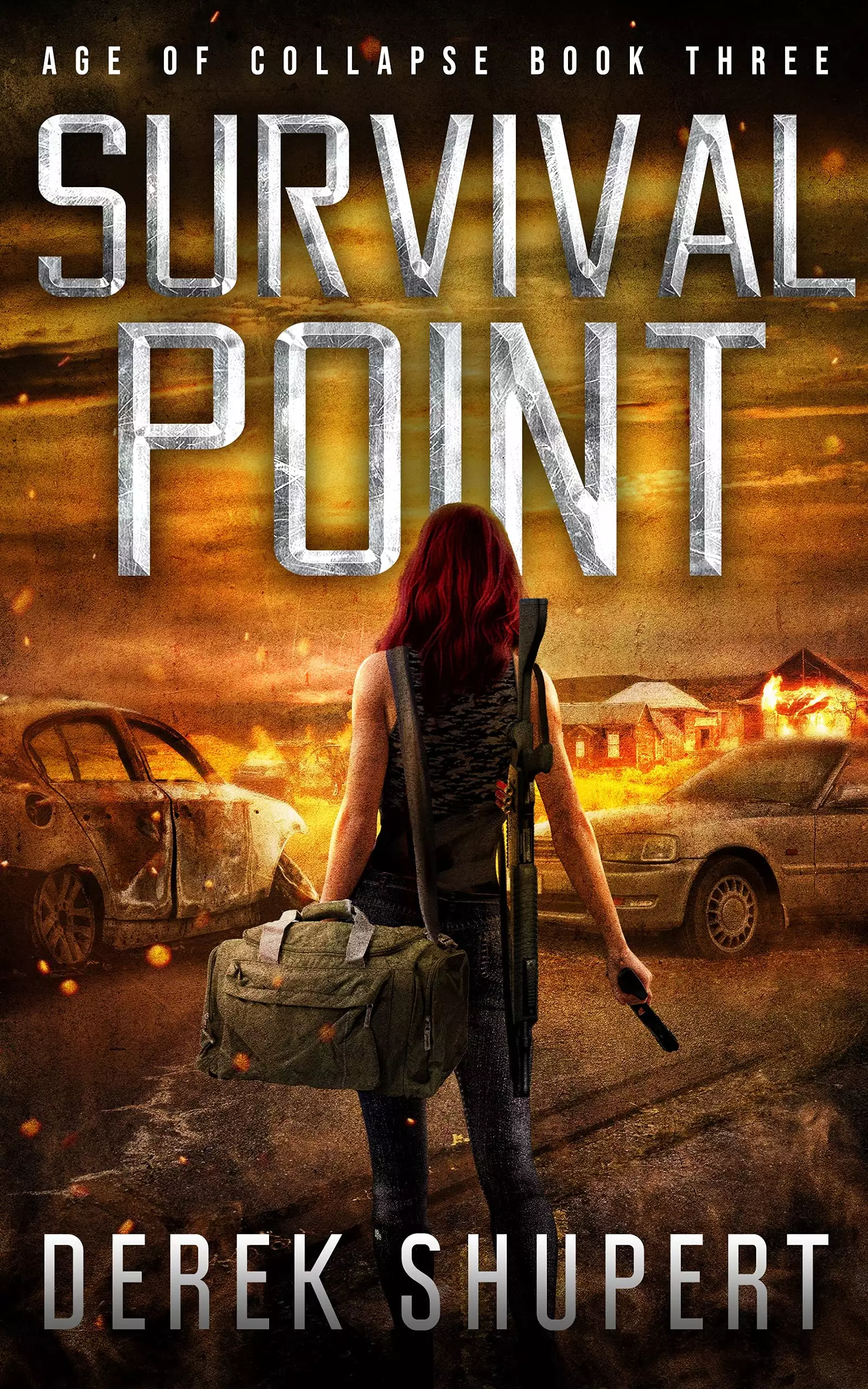 Survival Point: A Post-Apocalyptic EMP Survival Thriller