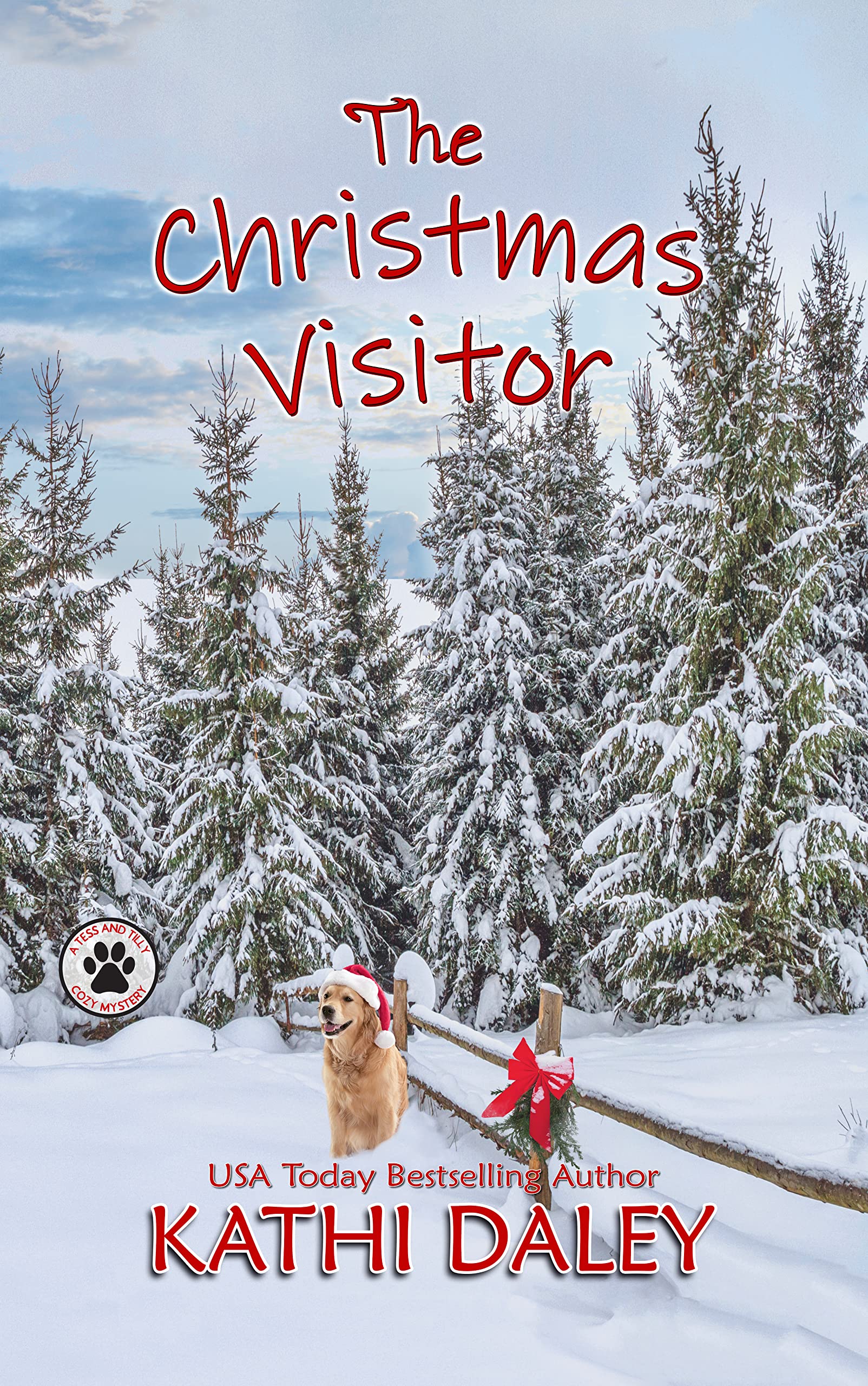 The Christmas Visitor: A Cozy Mystery