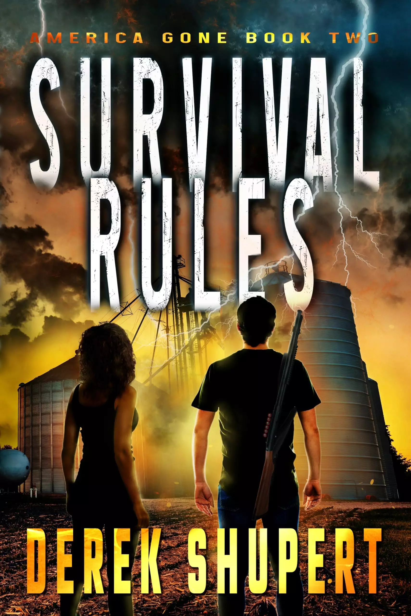 Survival Rules: A Post-Apocalyptic EMP/CME Survival Thriller