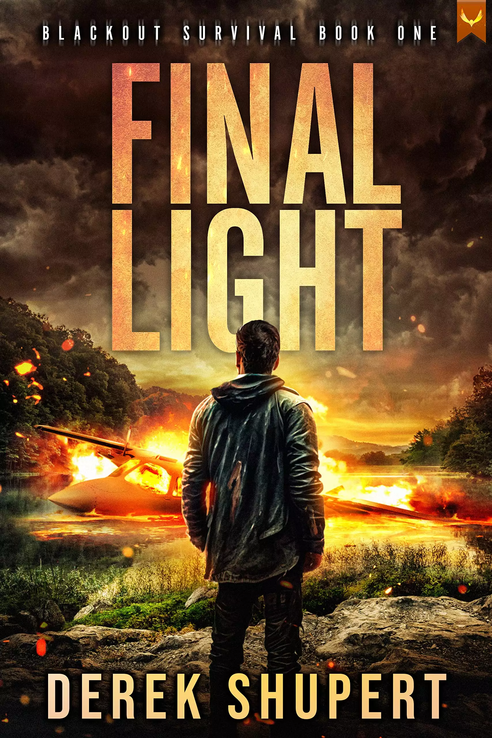 Final Light: A Post-Apocalyptic EMP/CME Survival Thriller