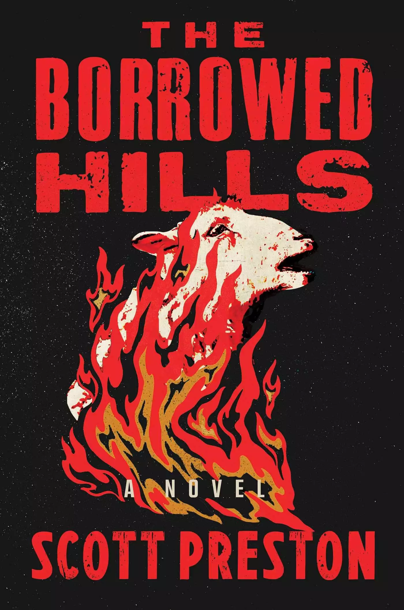 Borrowed Hills