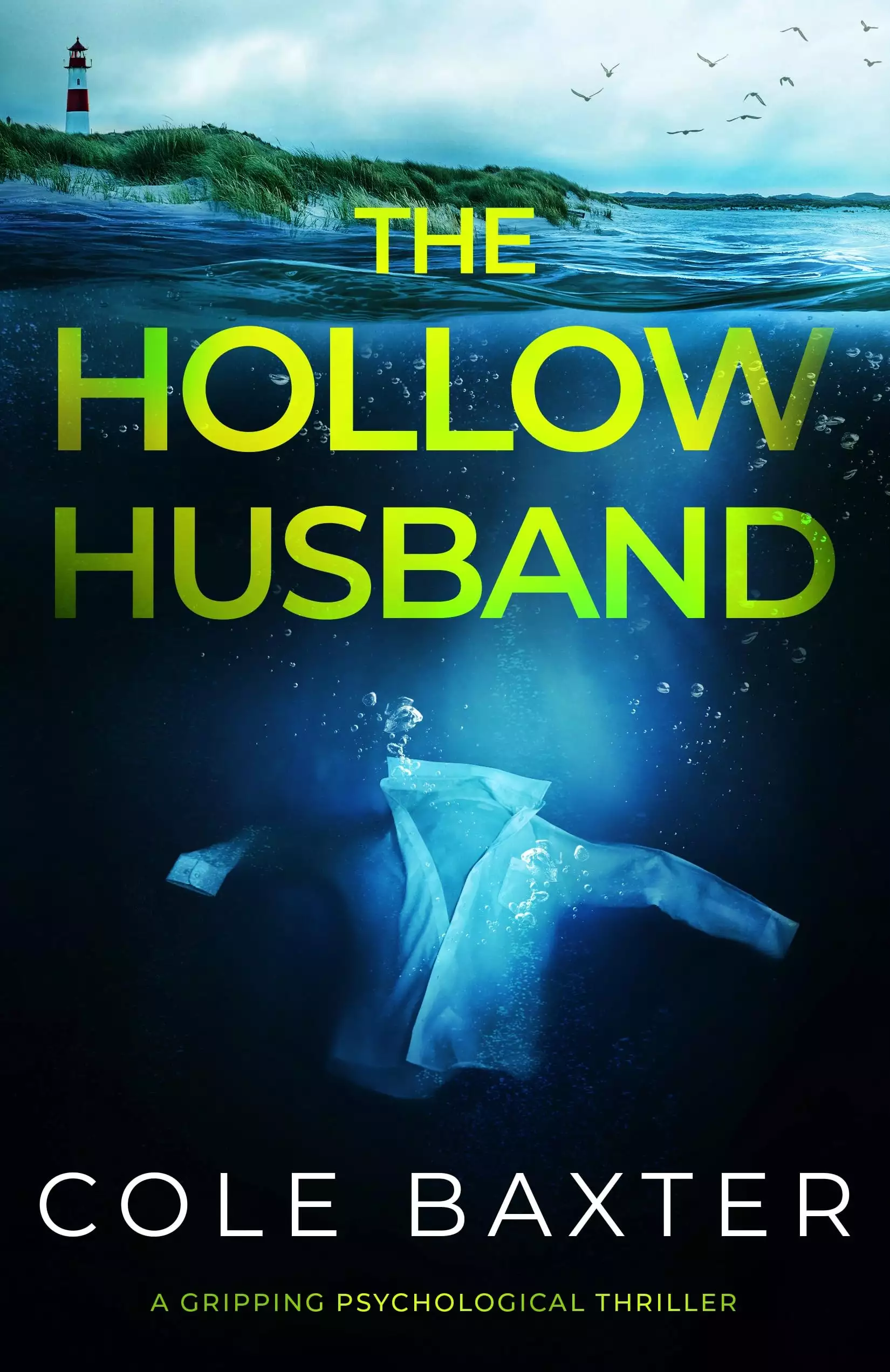 The Hollow Husband: a gripping psychological thriller