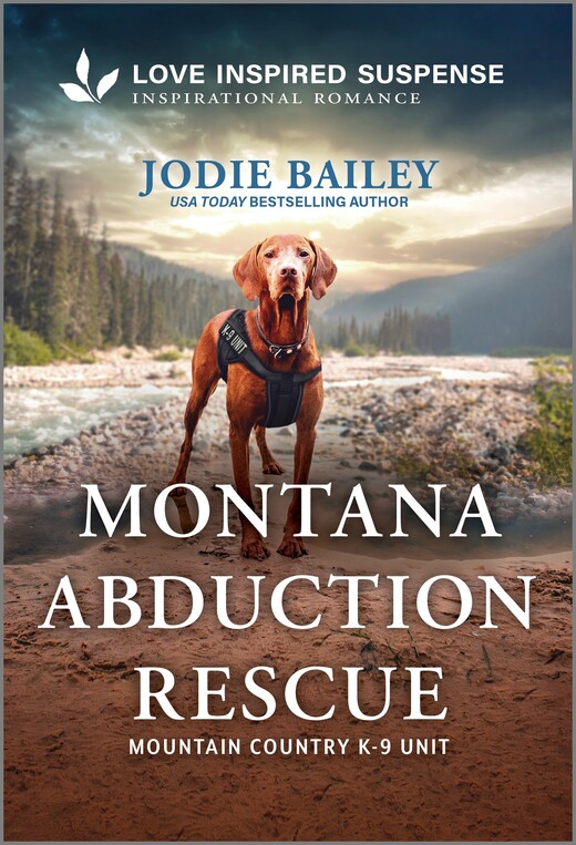 Montana Abduction Rescue by Jodie Bailey