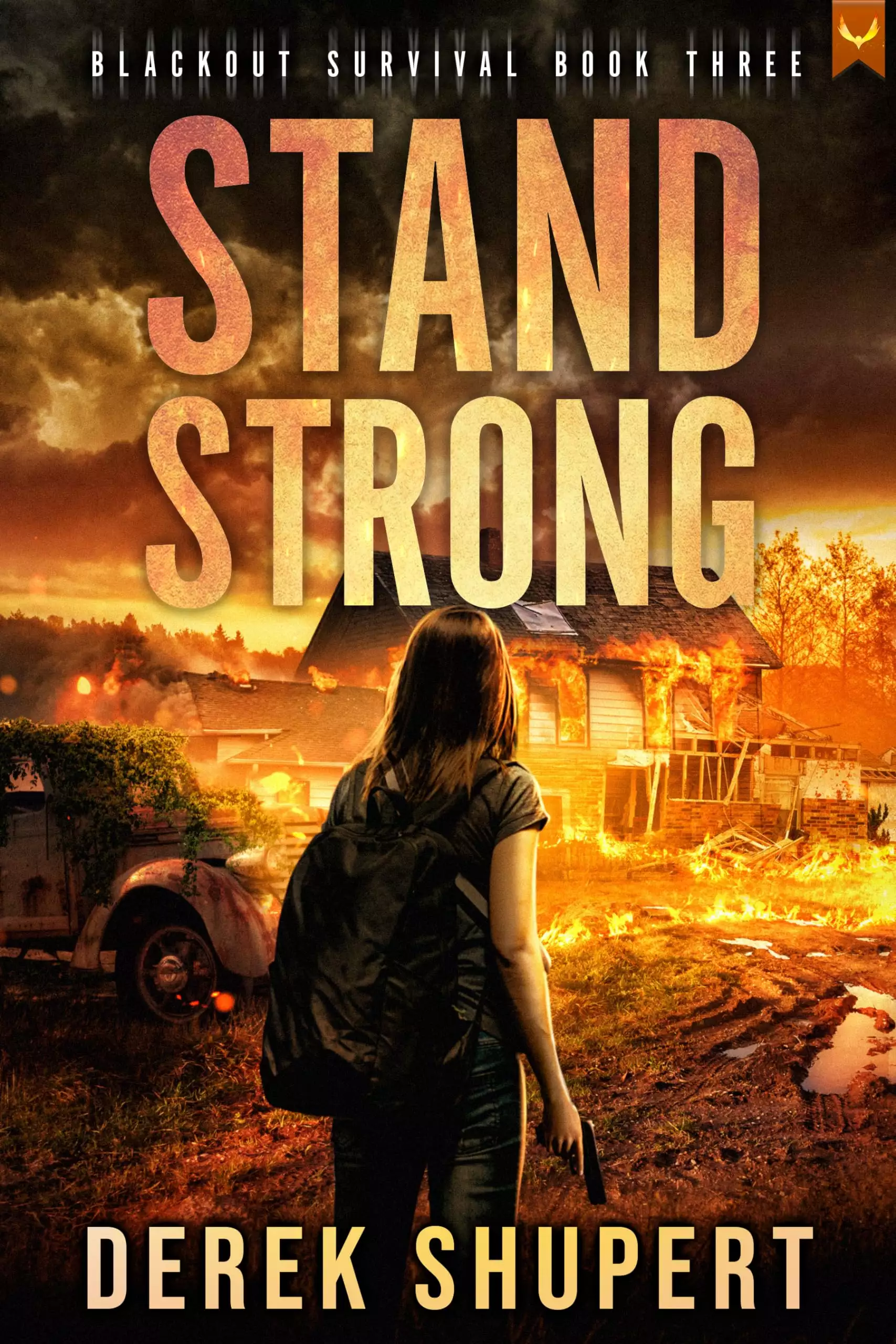 Stand Strong: A Post-Apocalyptic EMP/CME Survival Thriller