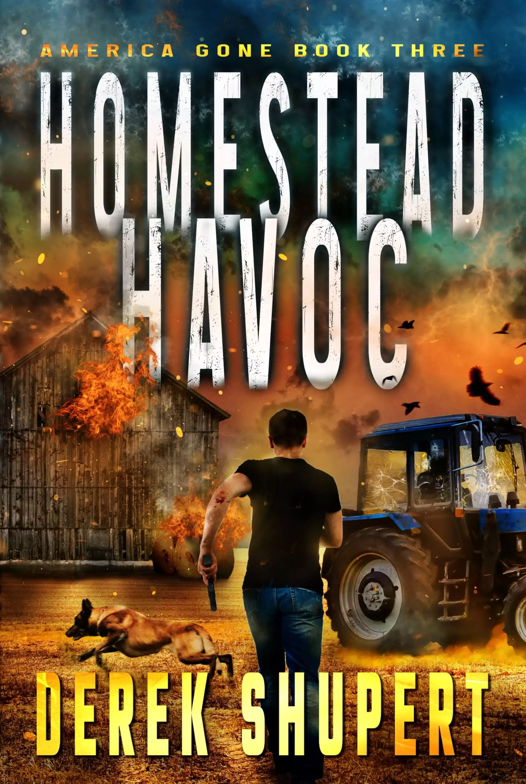 Homestead Havoc: A Post-Apocalyptic EMP/CME Survival Thriller