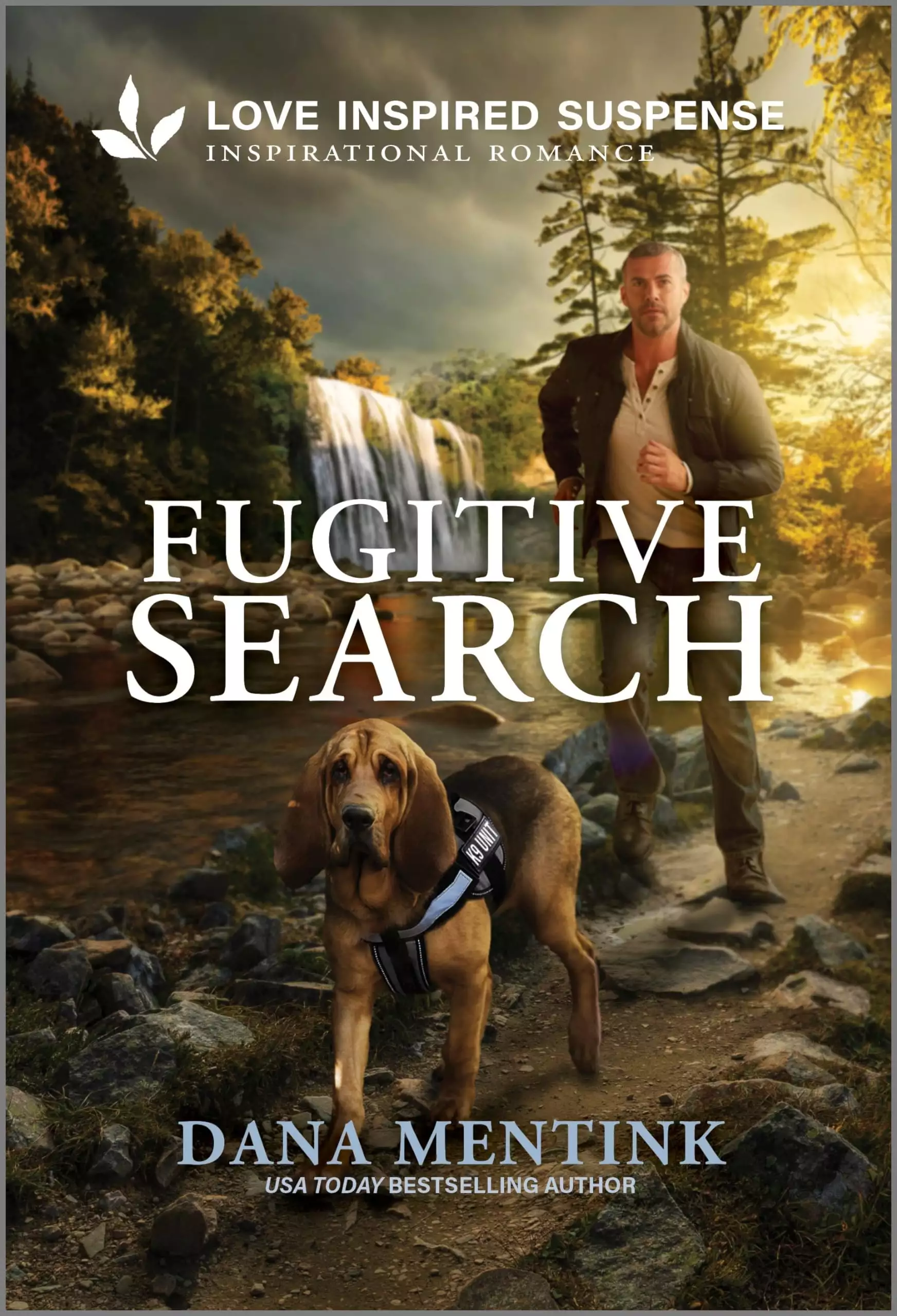 Fugitive Search