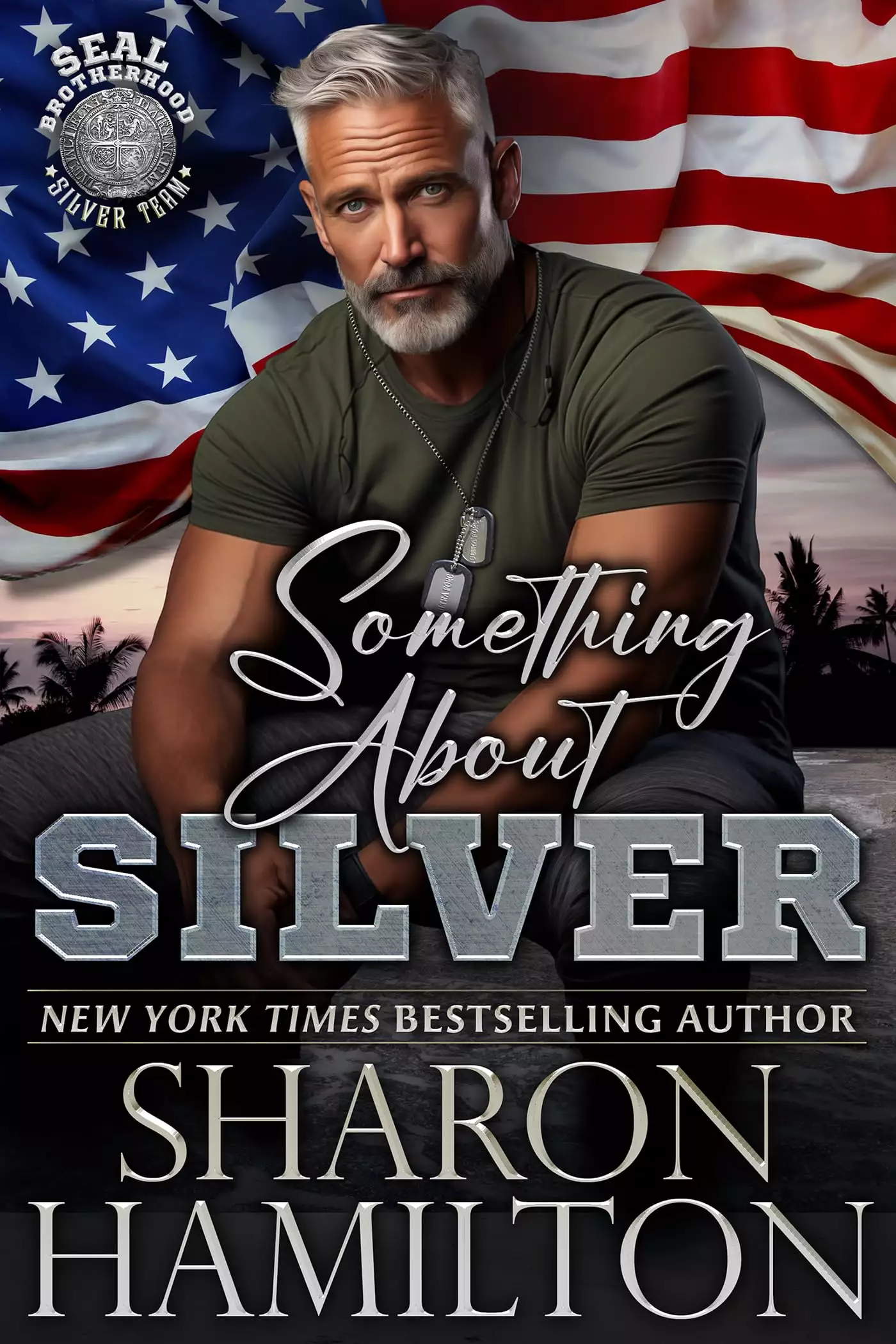 Something About Silver: SEAL Brotherhood Silver Team
