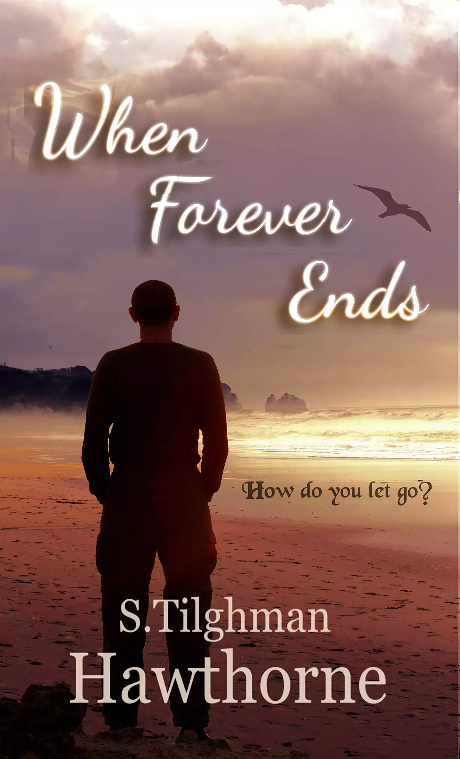 When Forever Ends: A Novella