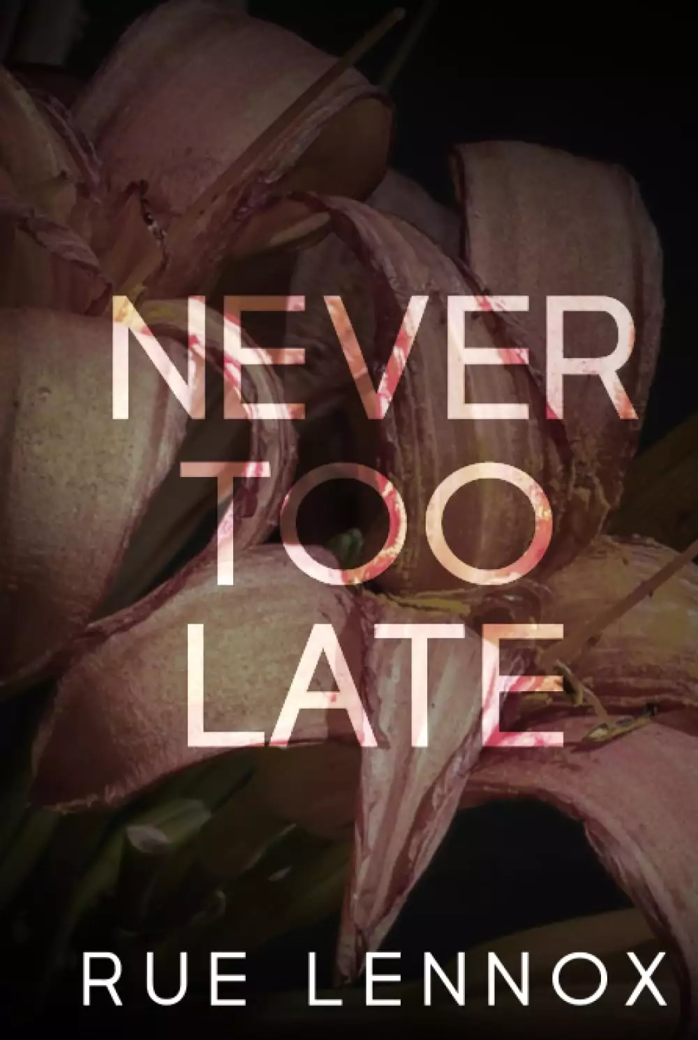 Never Too Late: A Second Chance Romantic Suspense