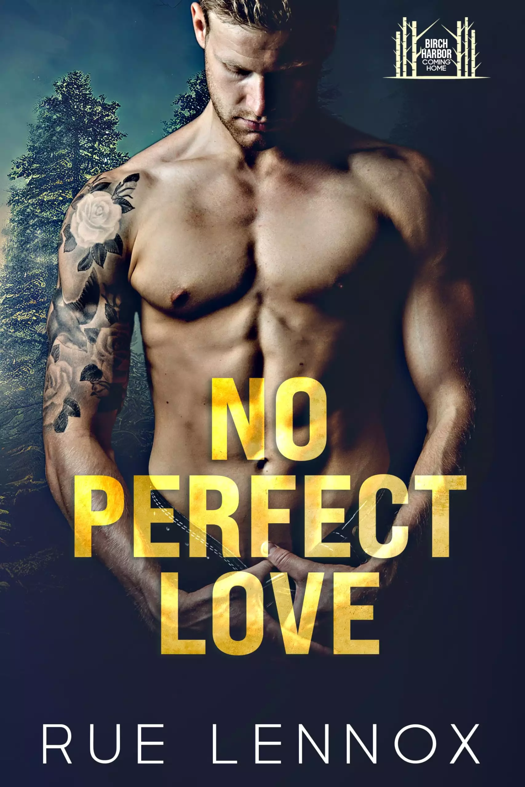 No Perfect Love