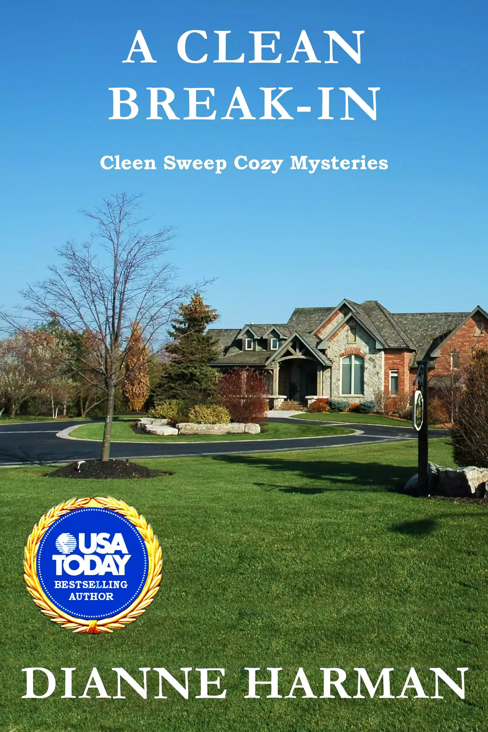 A Clean Break-In: Clean Sweep Cozy Mystery Series