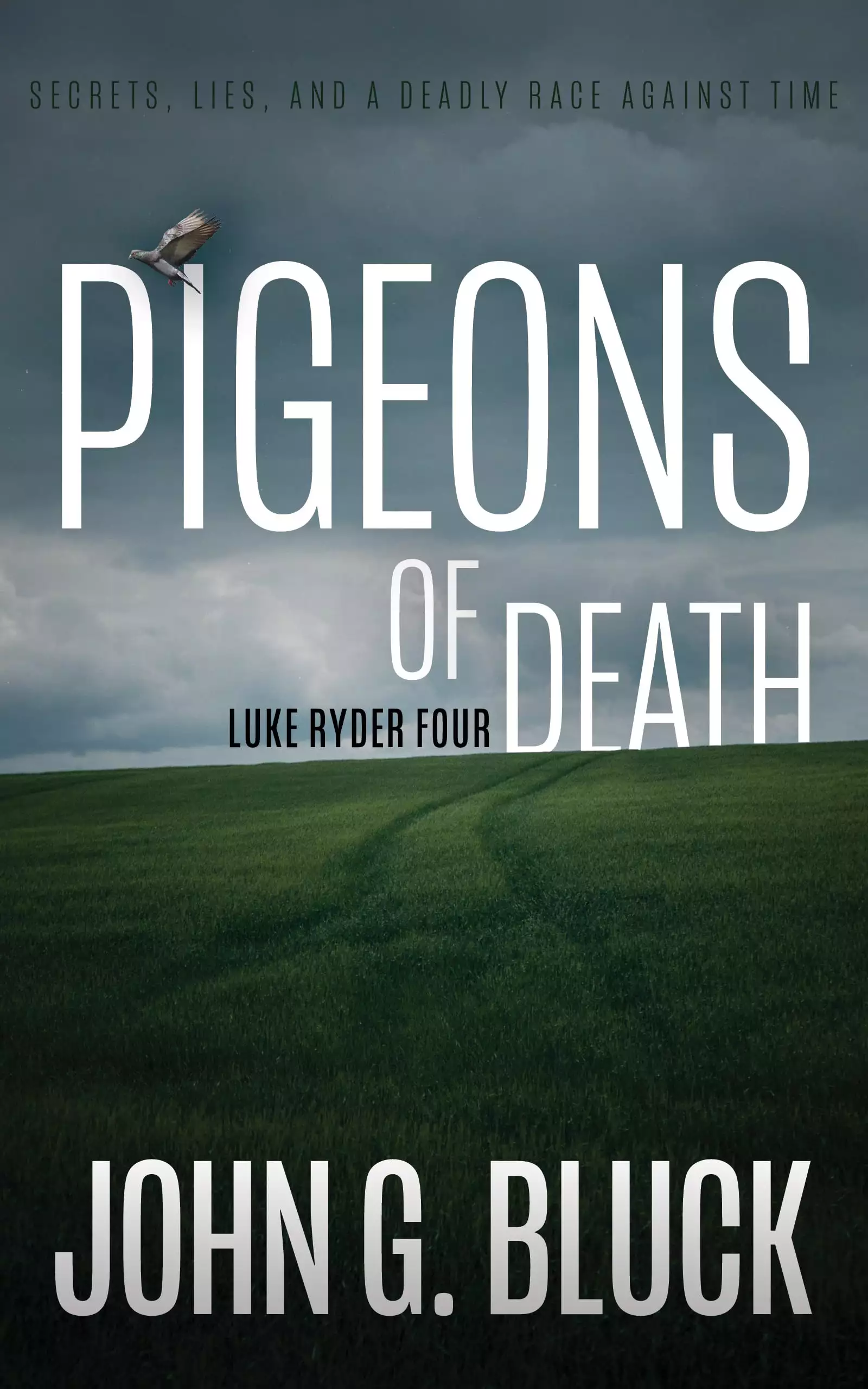 Pigeons of Death: A Mystery Detective Thriller Series