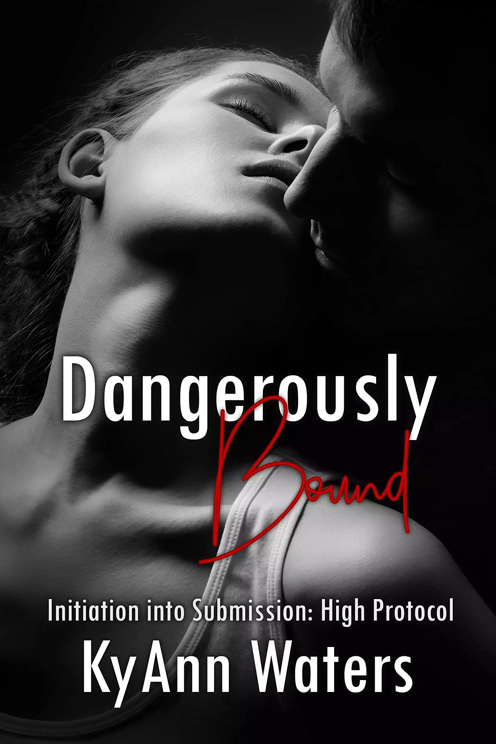 Dangerously Bound: A hot BDSM romance with a bad boy biker