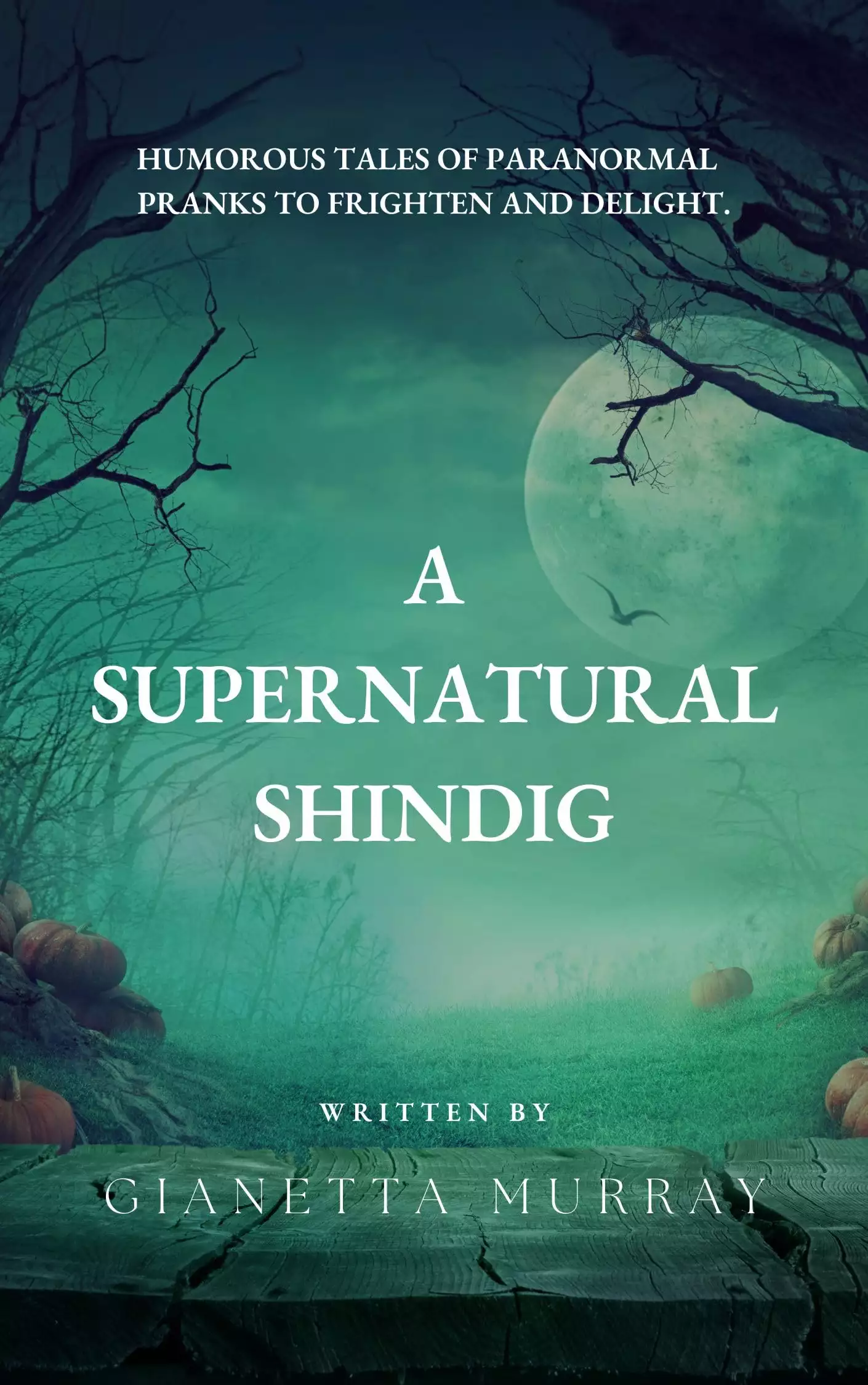 A Supernatural Shindig: Amusing Tales of Paranormal Predicaments