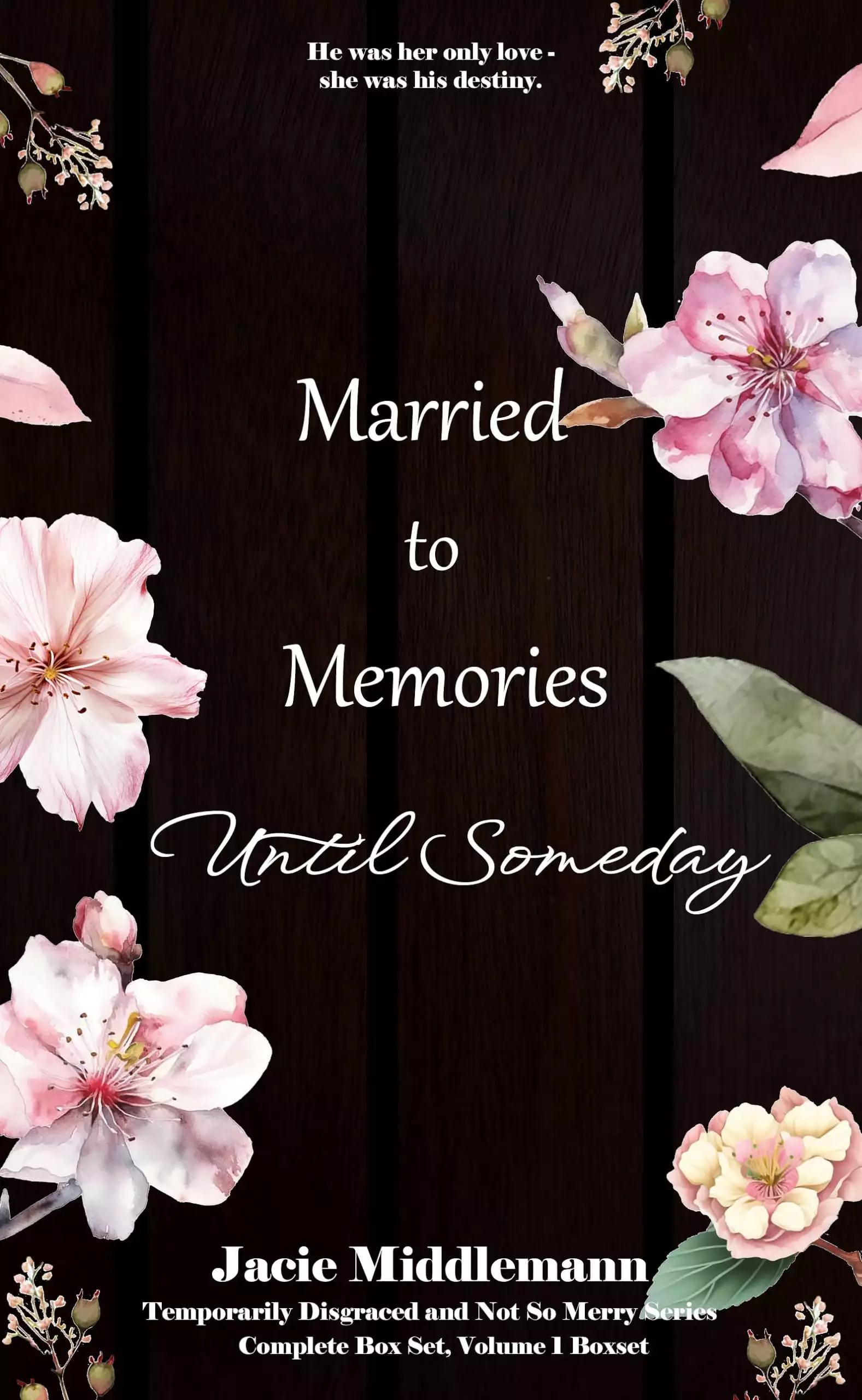 Married to Memories Until Someday, Complete Box Set: He was her only love - she was his destiny. Volume 1 Boxset.