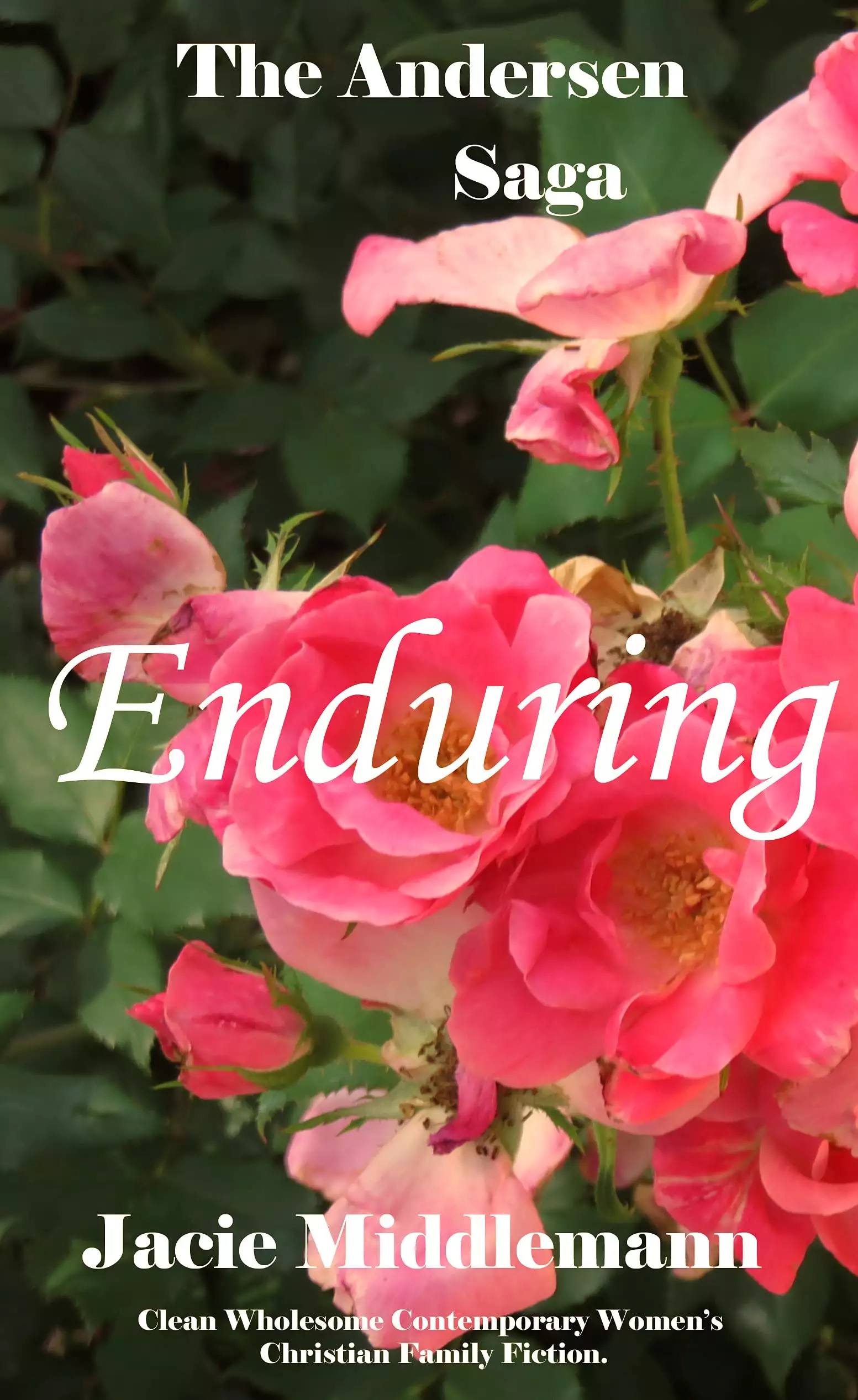 Enduring - The Andersen Saga: Clean Wholesome Contemporary Women's Christian Family Fiction.