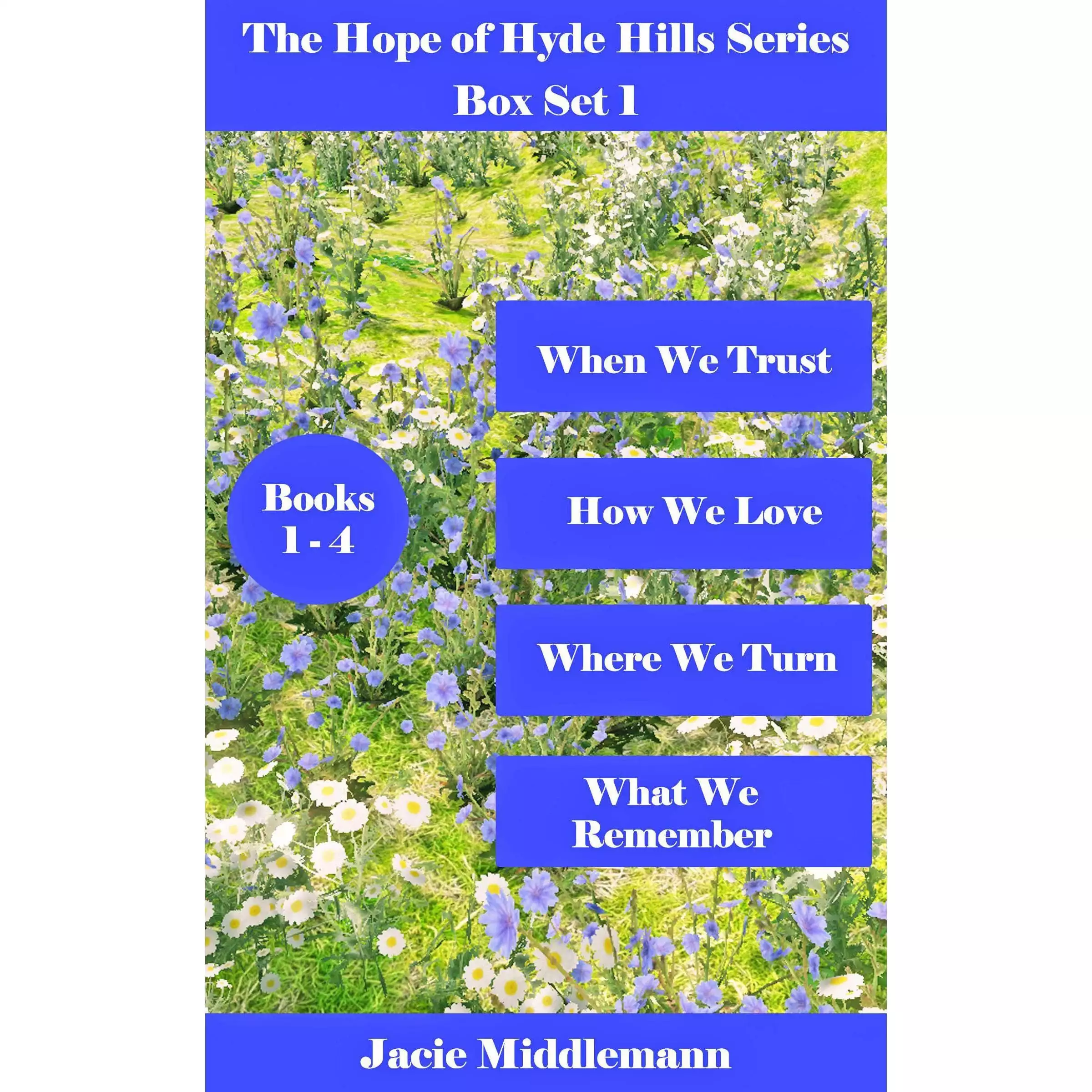 Hope of Hyde Hills Series: Box Set I (Books 1-4) When We Trust. How We Love. Where We Turn. What We Remember.