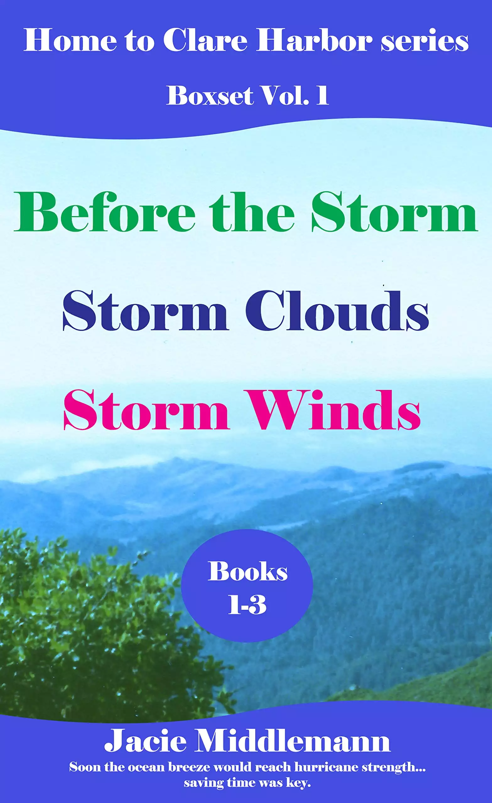 Home to Clare Harbor Boxset (Books 1-3): Before the Storm, Storm Clouds, & Storm Winds. Soon the ocean breeze would reach hurricane strength...saving time was key.