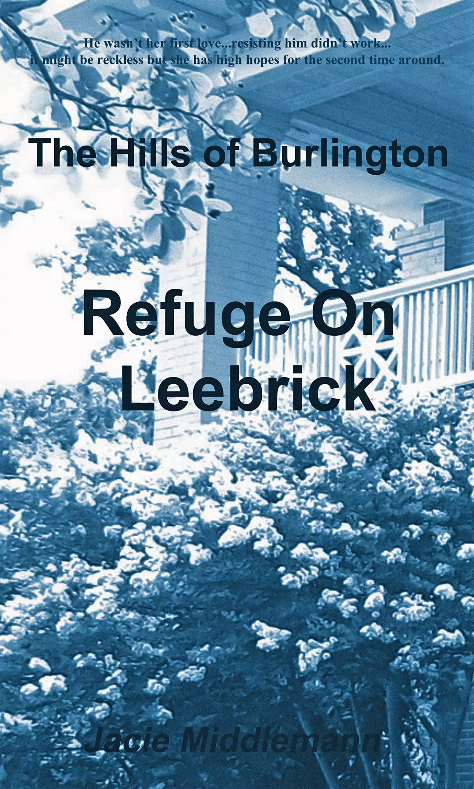 Refuge on Leebrick: He wasn't her first love...resisting him didn't work...it might be reckless but she has high hopes for the second time around.