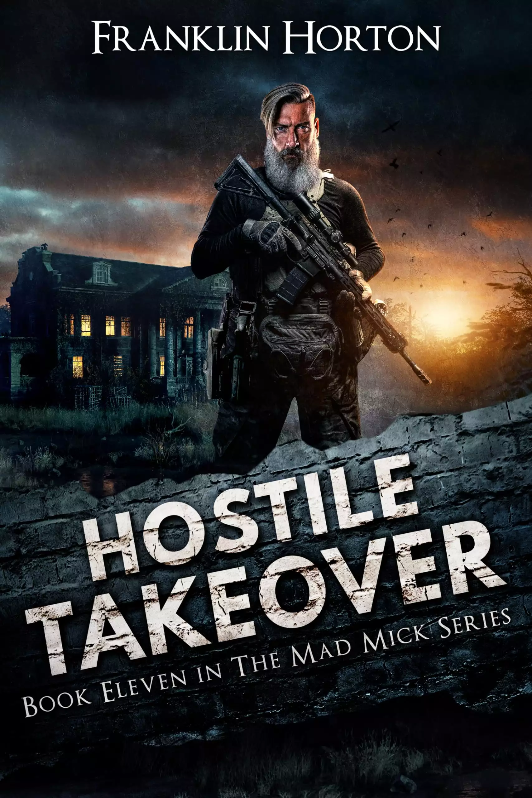 Hostile Takeover: Book Eleven in The Mad Mick Series