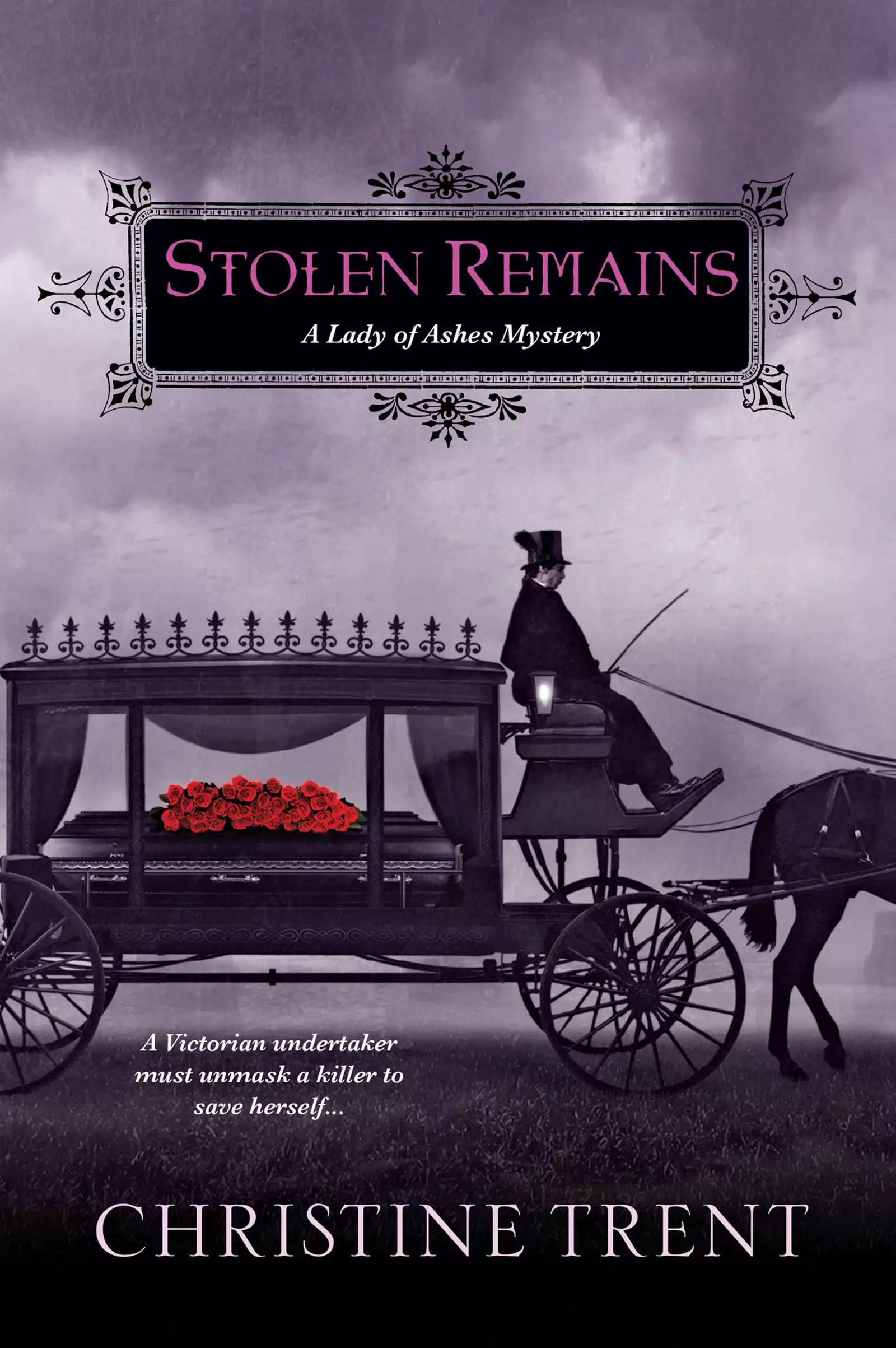 Stolen Remains: A Lady of Ashes Mystery