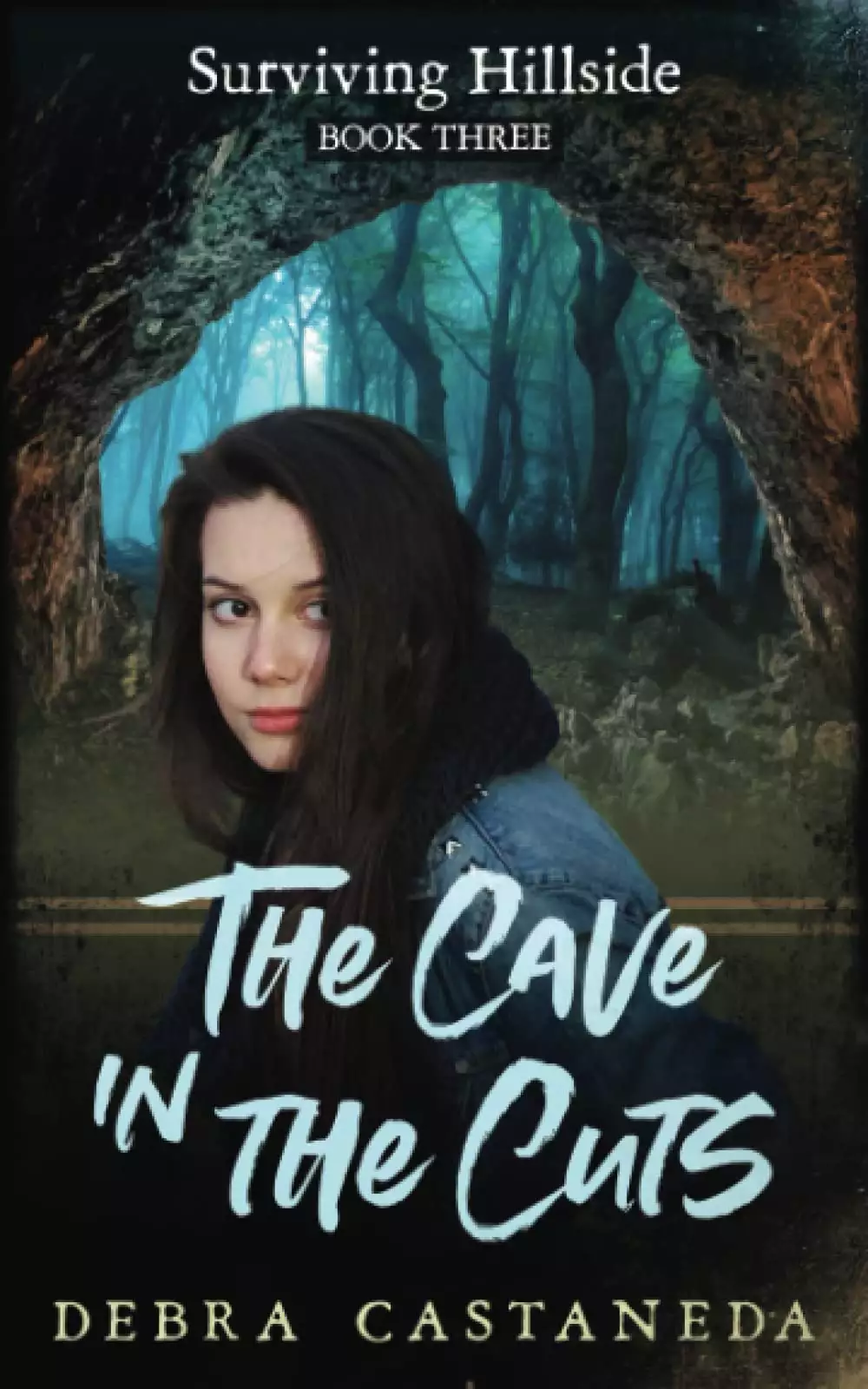 The Cave in The Cuts: Surviving Hillside Book 3