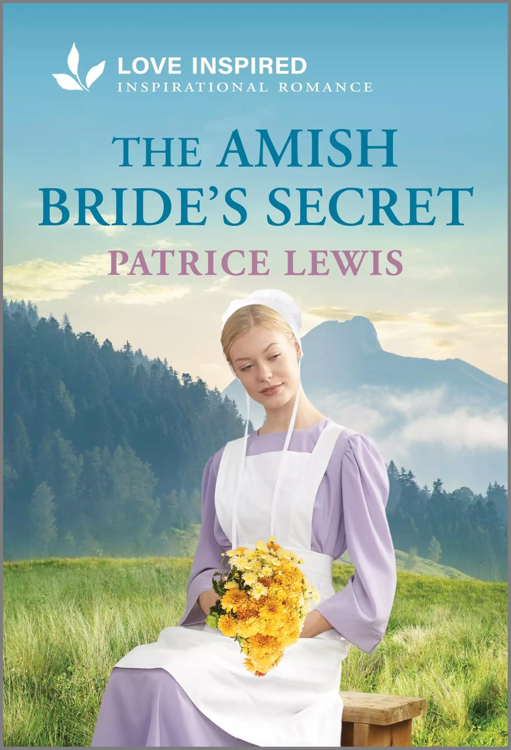 The Amish Bride's Secret