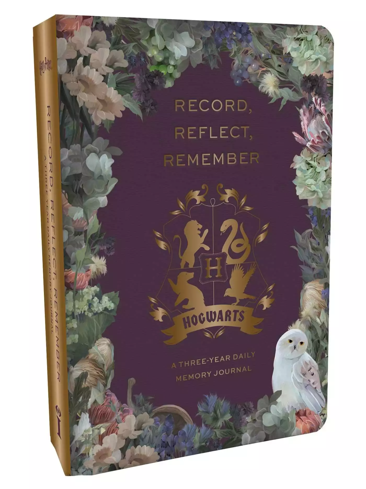 Harry Potter: Hogwarts Memory Journal