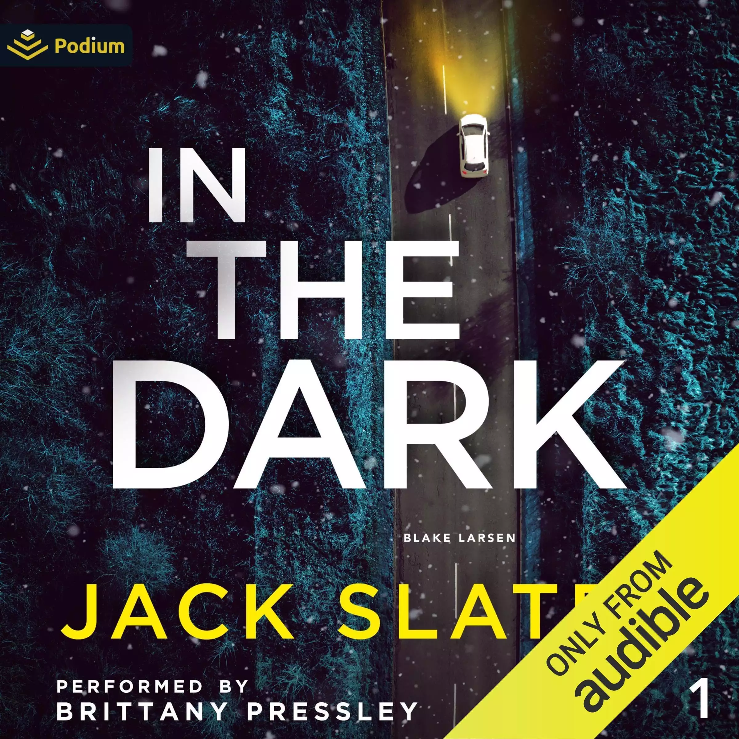 In the Dark: Blake Larsen, Book 1