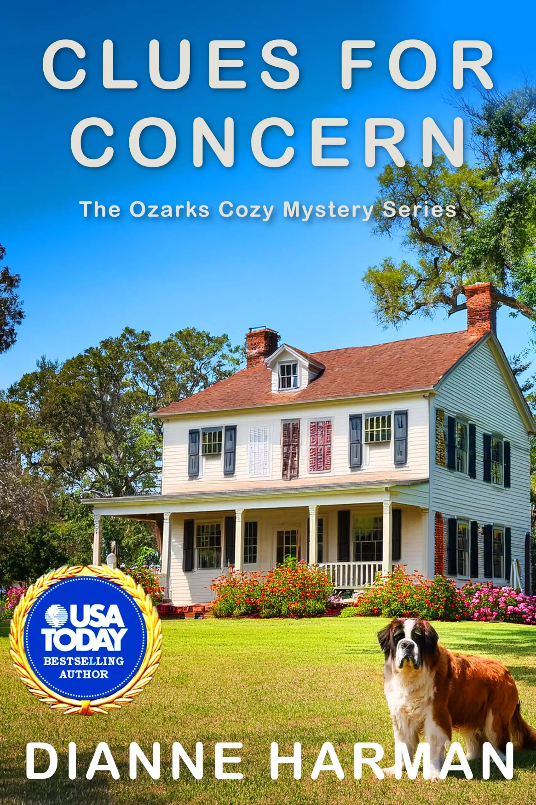 Clues for Concern: The Ozarks Cozy Mystery Series