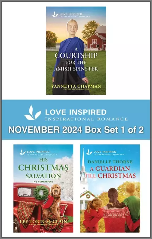 Love Inspired November 2024 Box Set - 1 of 2