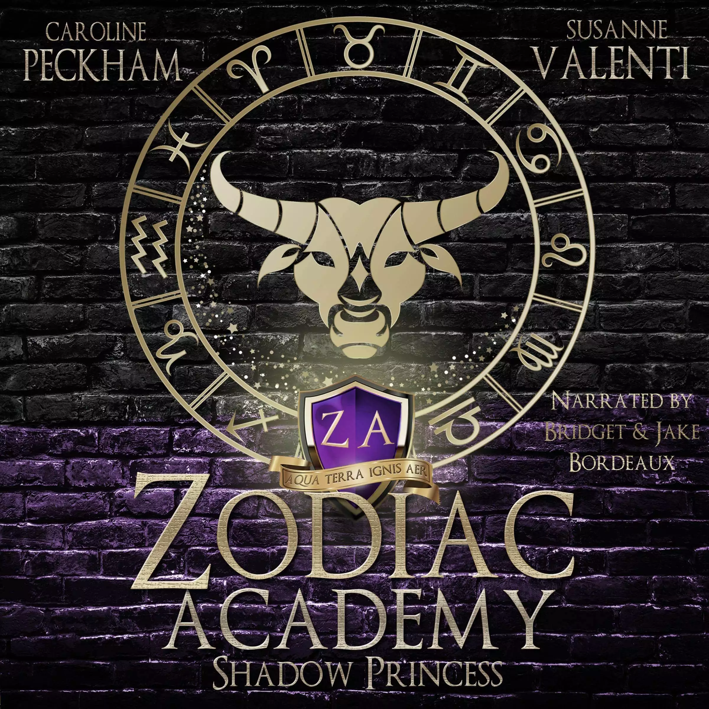 Zodiac Academy 4: Shadow Princess