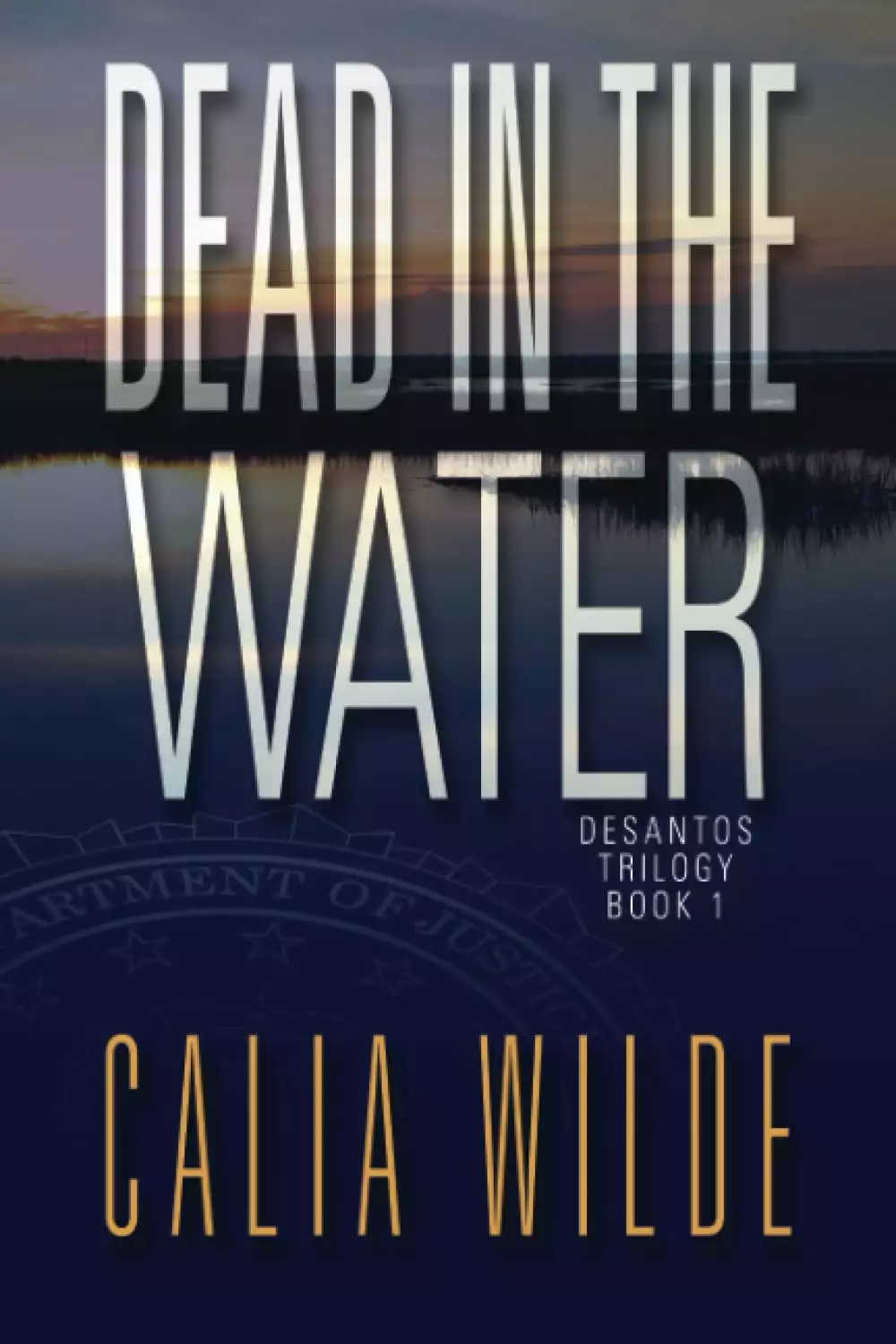 Dead in the Water: DeSantos Family Crime Romance Novel 1