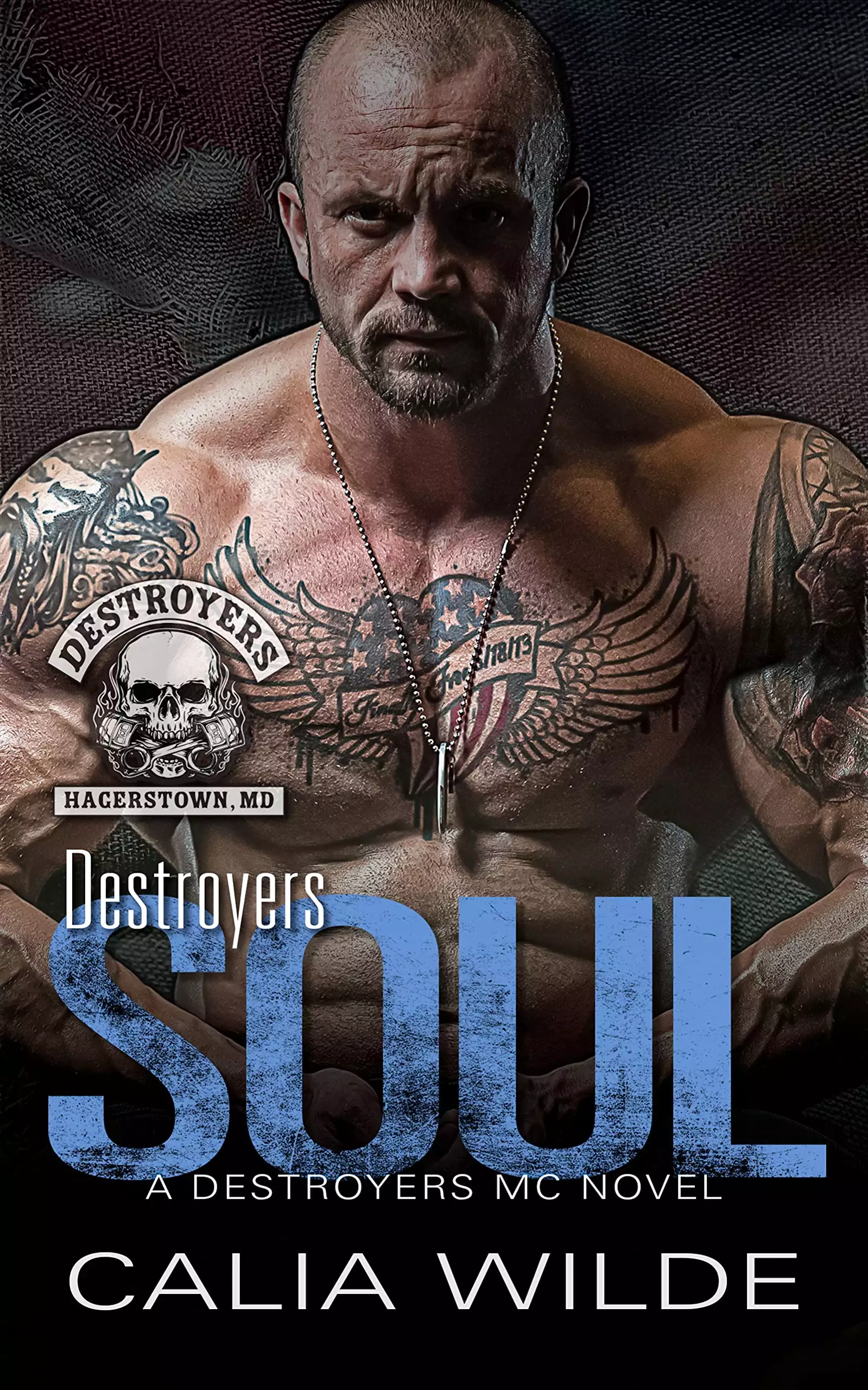 Destroyers Soul: A Destroyers MC (Motorcycle Club) Romance