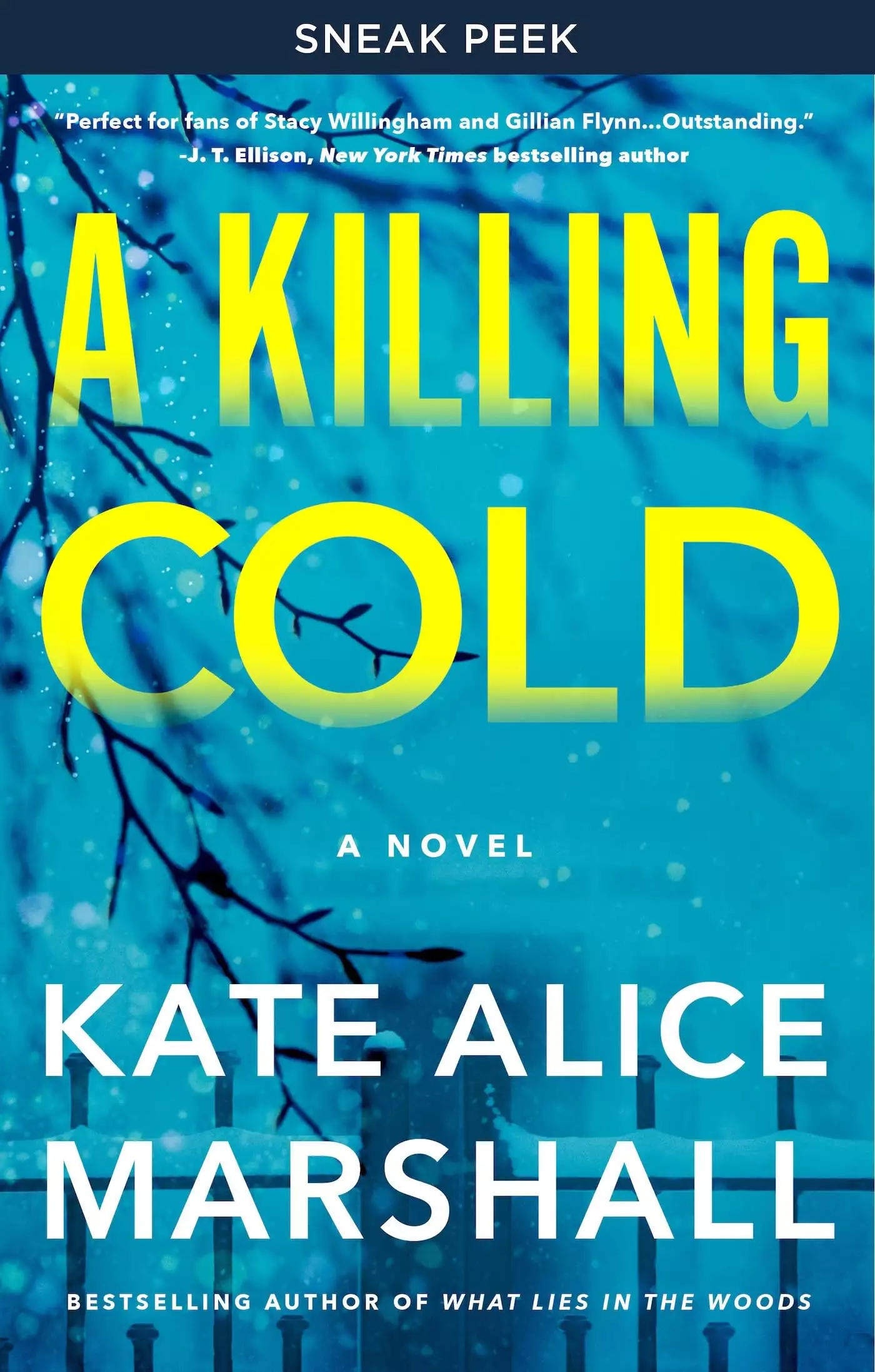 A Killing Cold Sneak Peek