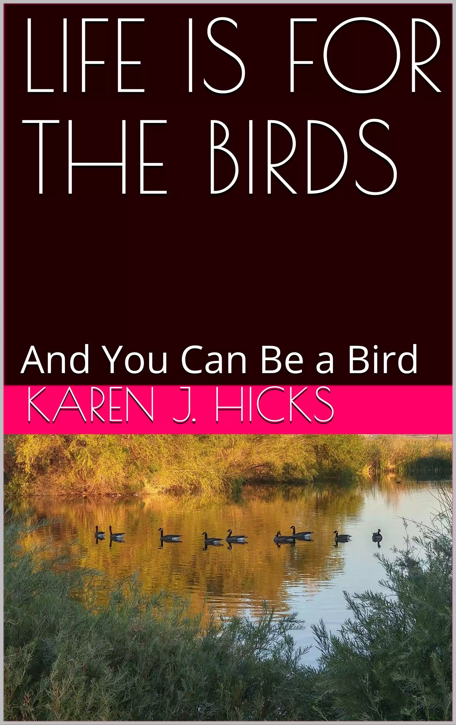 LIFE IS FOR THE BIRDS: And You Can Be a Bird