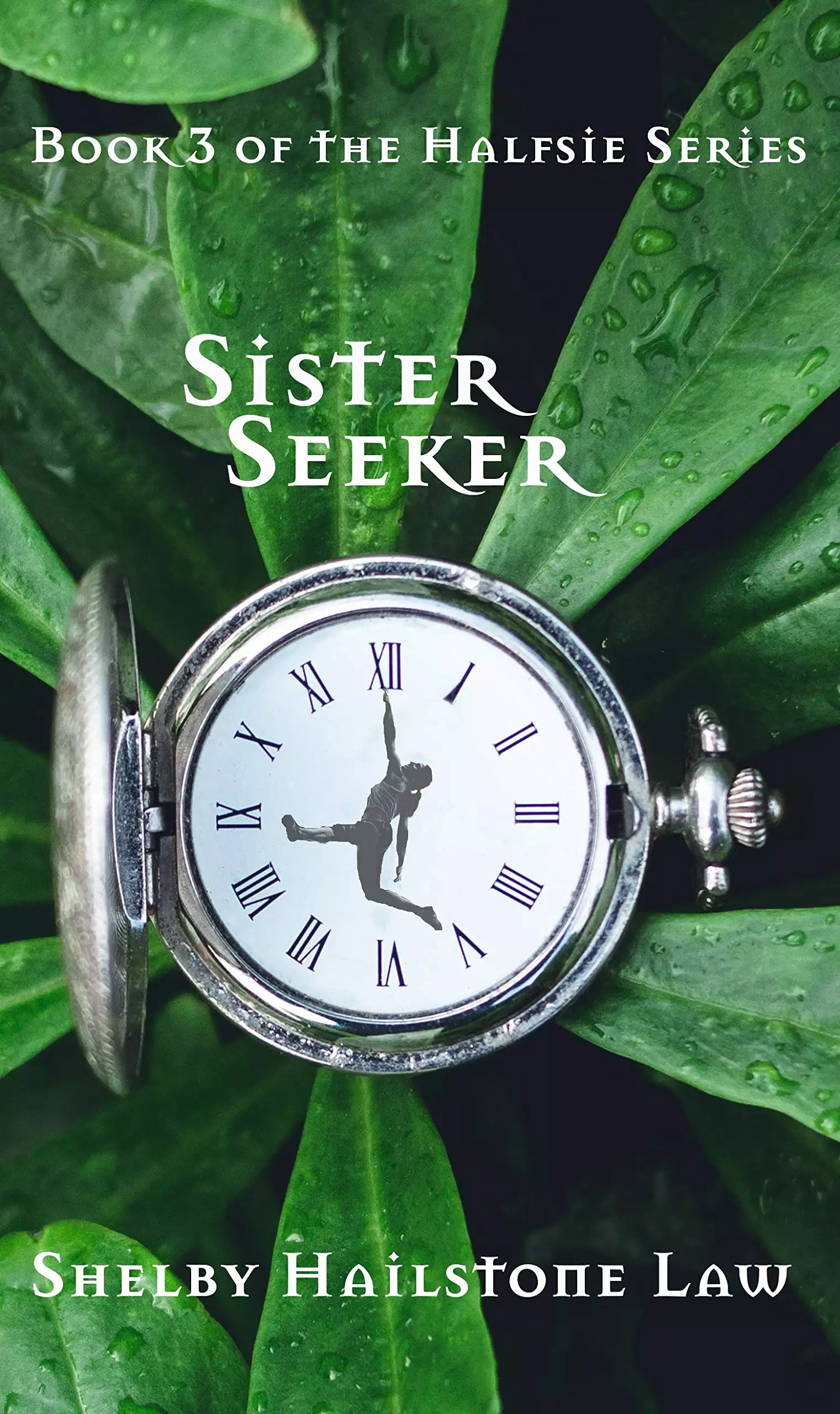 Sister Seeker