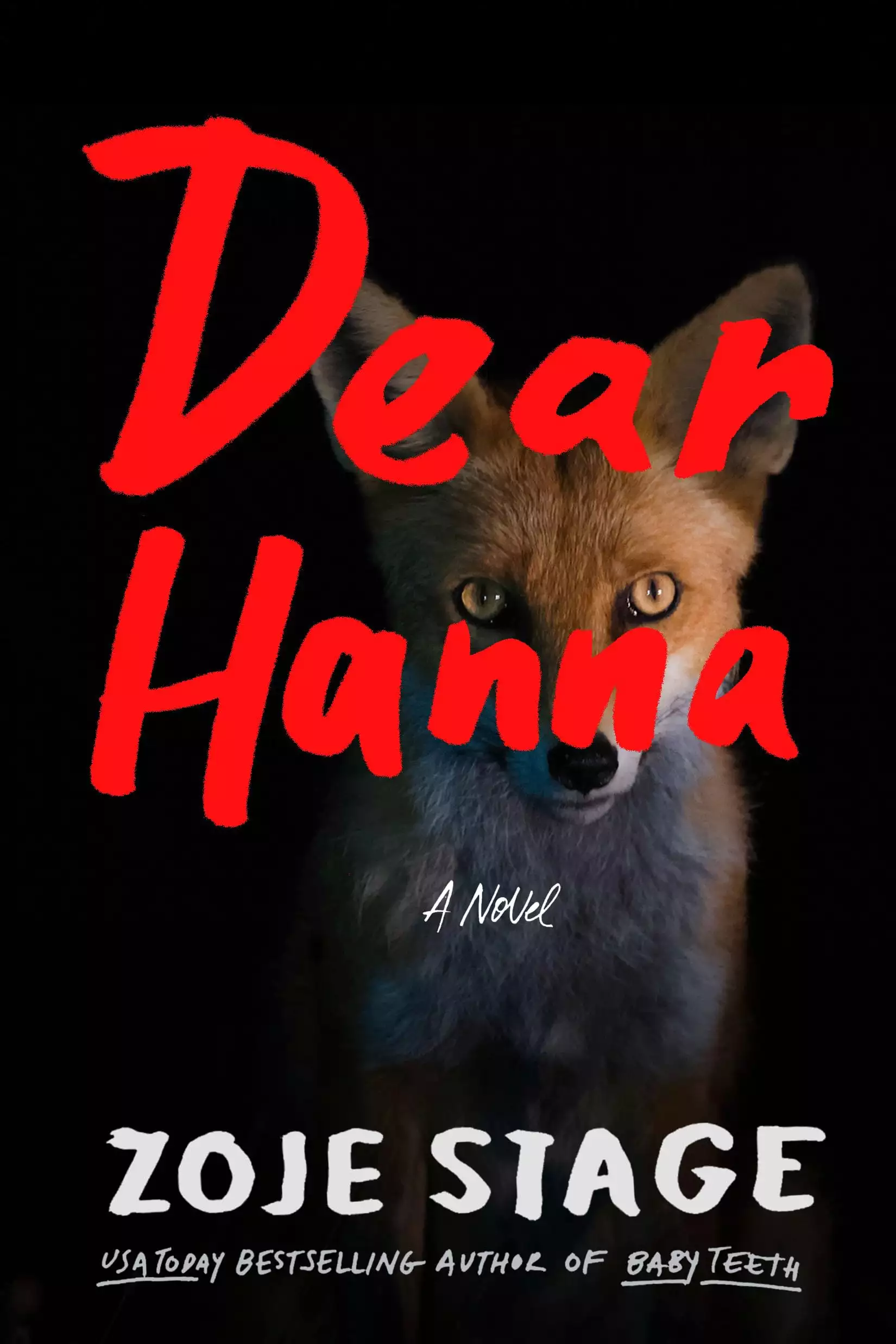 Dear Hanna: A Novel