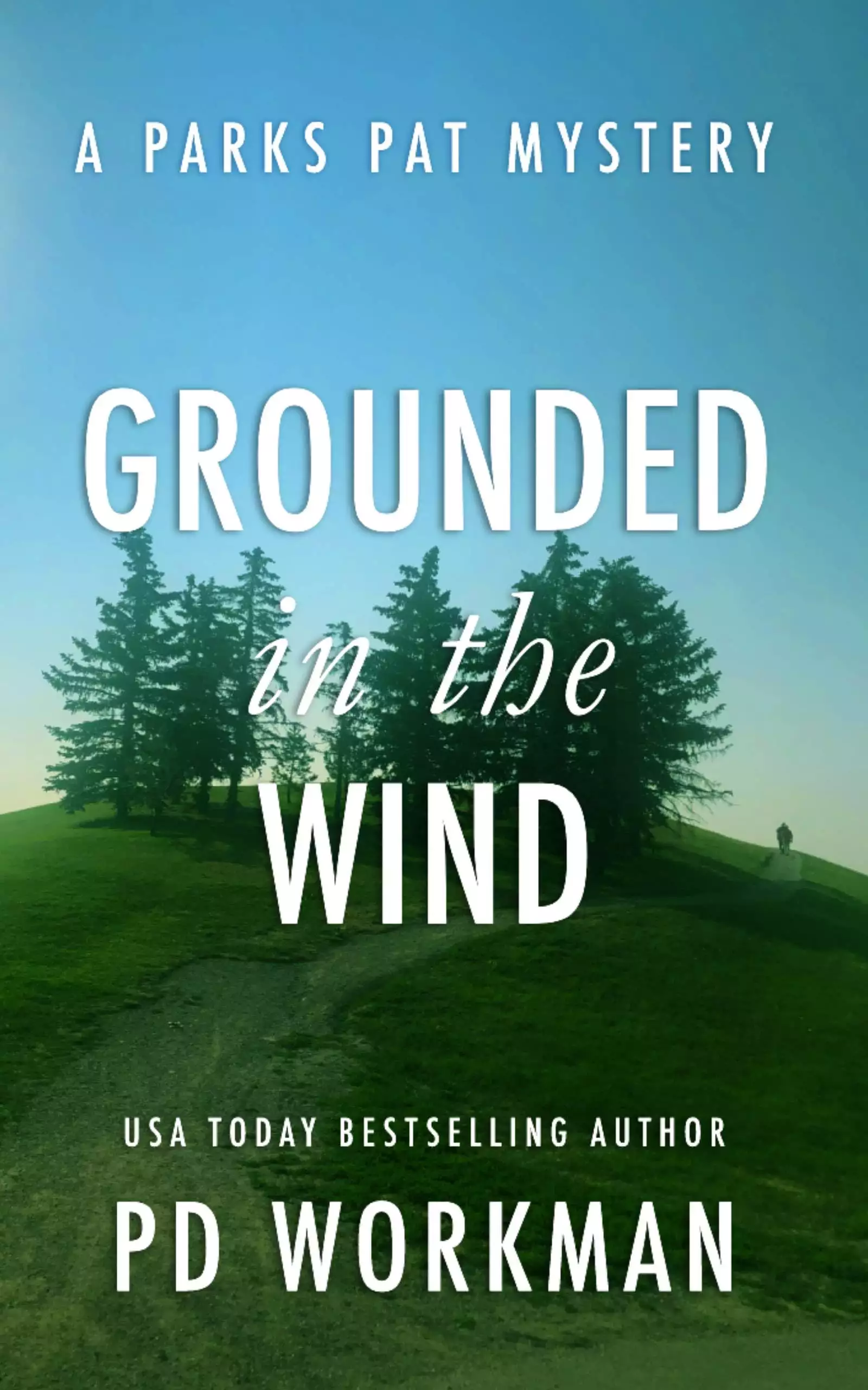 Grounded in the Wind: A quick-read police procedural set in picturesque Canada