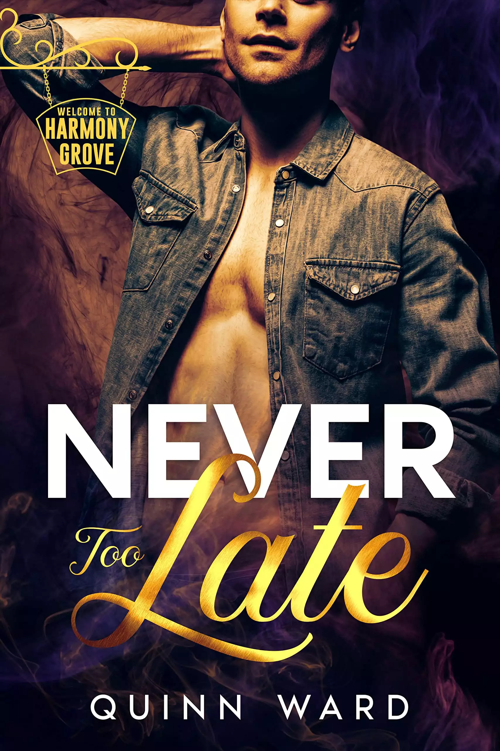 Never Too Late: An M/M Bisexual Awakening Romance